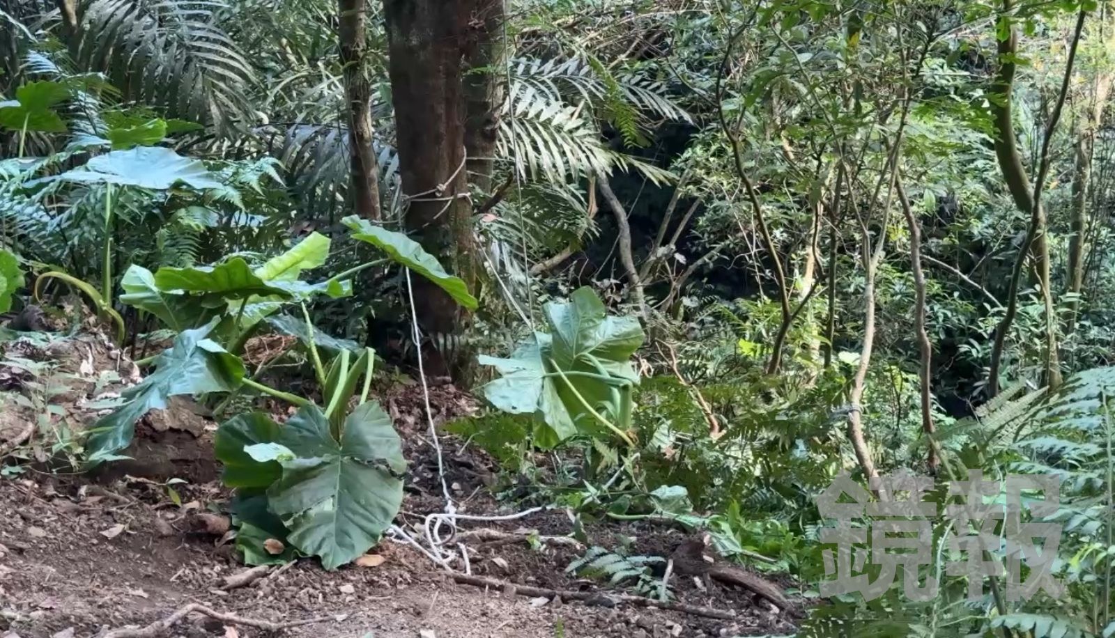 宜蘭頭城棄屍案!17歲少年遭9人擄走活活打死 行凶動機曝光