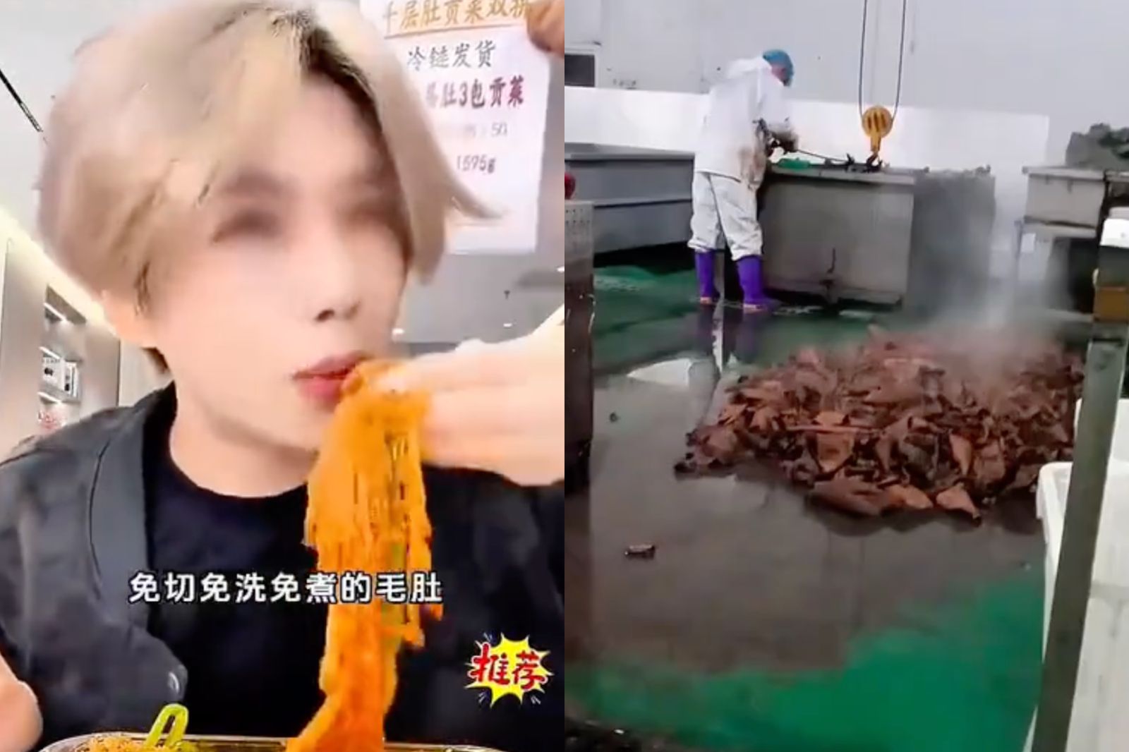 網紅「鹿哈」慘了!賣黑心毛肚「超噁生產工廠曝光」...恐賠417億