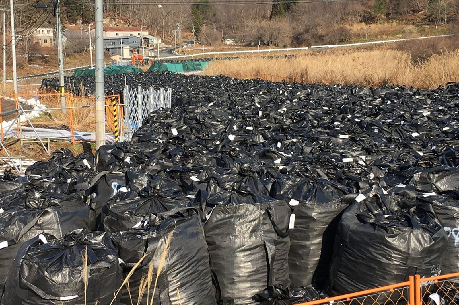 核廢土放哪裡？日本拍板不只放首相官邸　公務機關花圃全都用