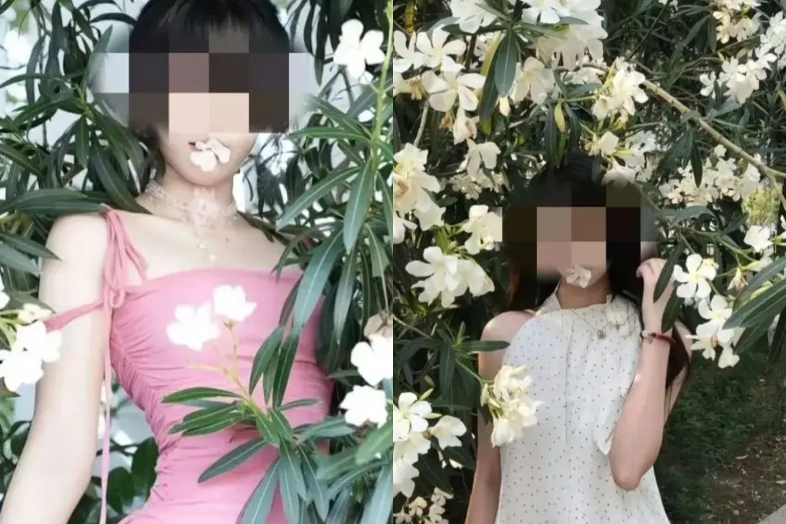 女嘴含「網紅花」拍照!半身起水泡劇烈搔癢 醫示警:有毒恐致死
