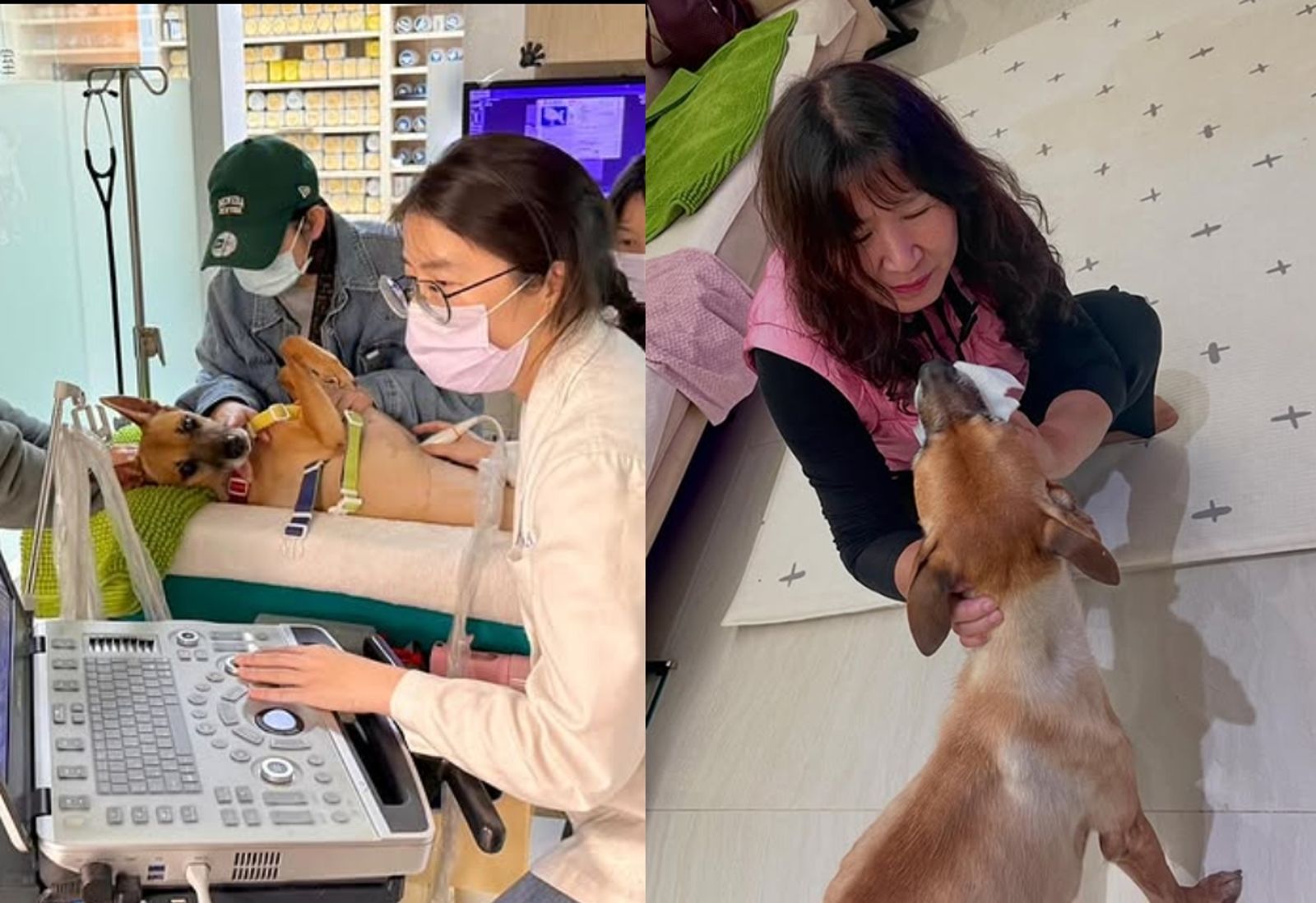 米可白今年帶錢錢就醫發現胃癌（左），北上探望女兒的母親也心疼錢錢（右）幫忙照顧。翻攝米可白IG