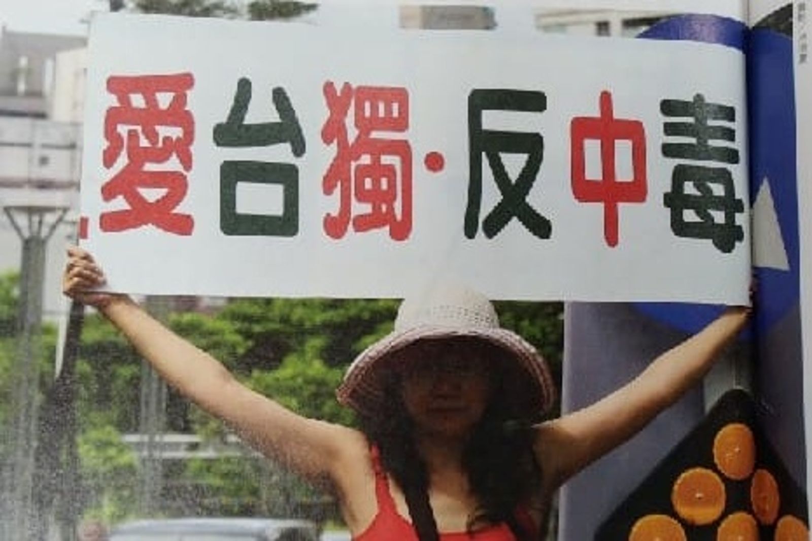 「愛台獨反中毒」舉牌姐傳投入2026選戰！柳淑芳給前提：還在評估
