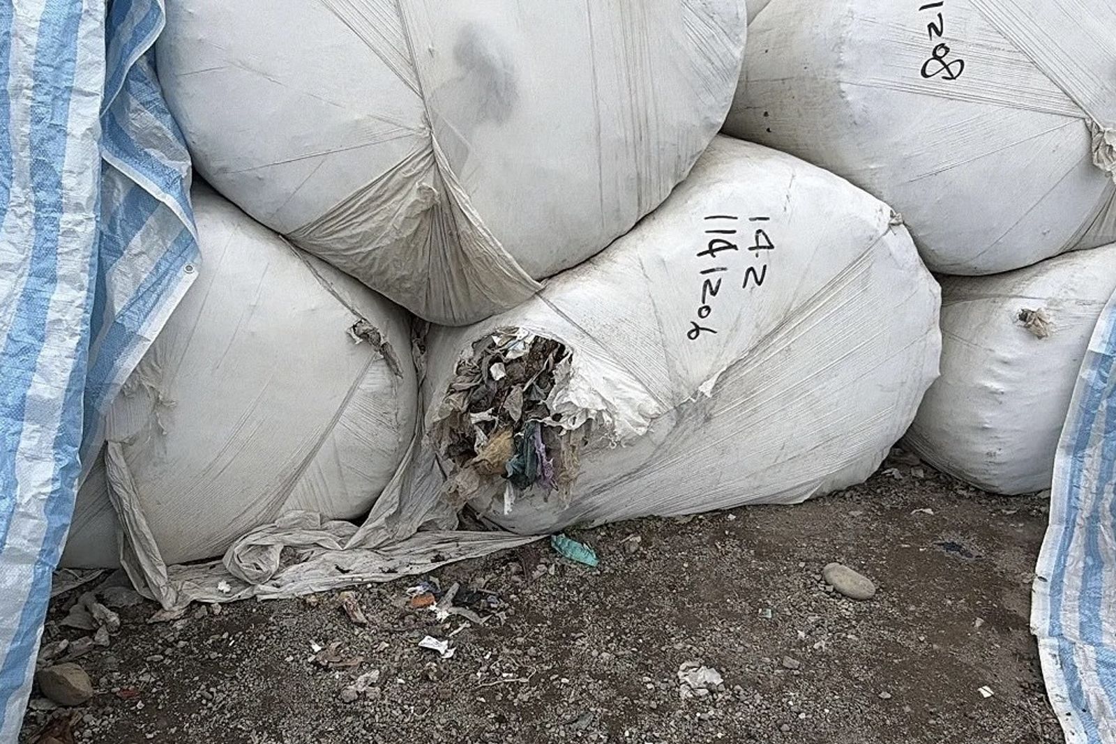 台中掩埋場太空包遭鼠咬破洞臭翻天　何欣純批盧市府：垃圾不是移來移去