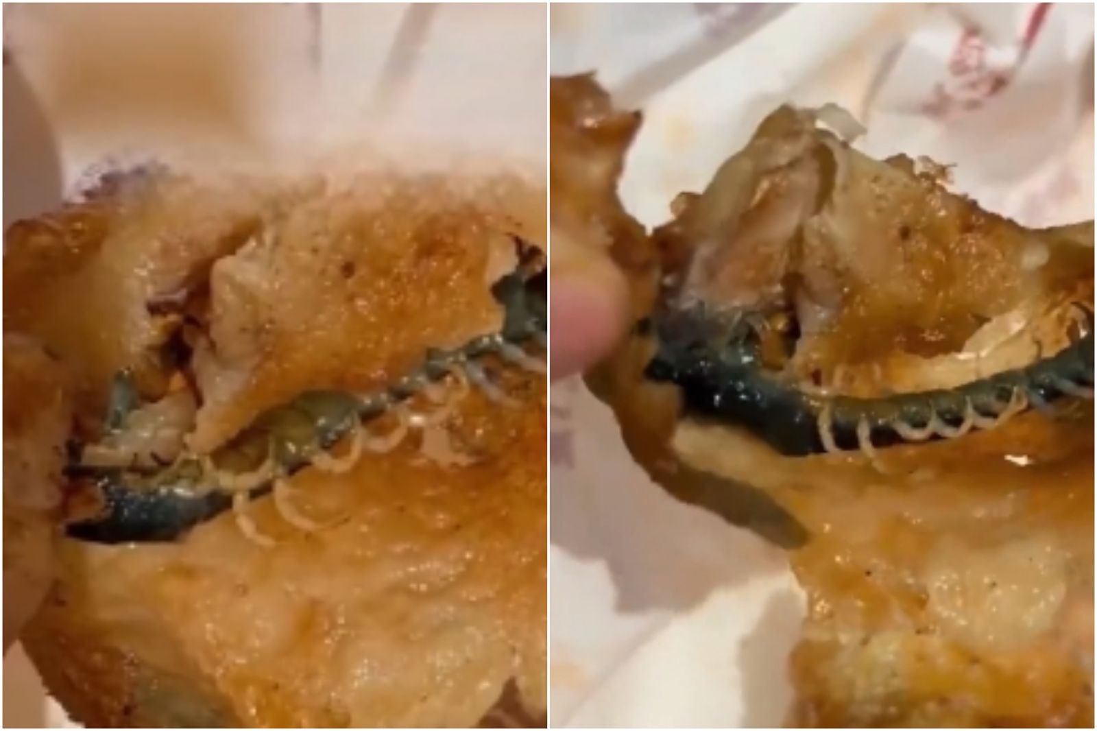 吃炸雞驚見「整條蜈蚣」！超噁畫面曝光　店家拒賠：店內沒看過