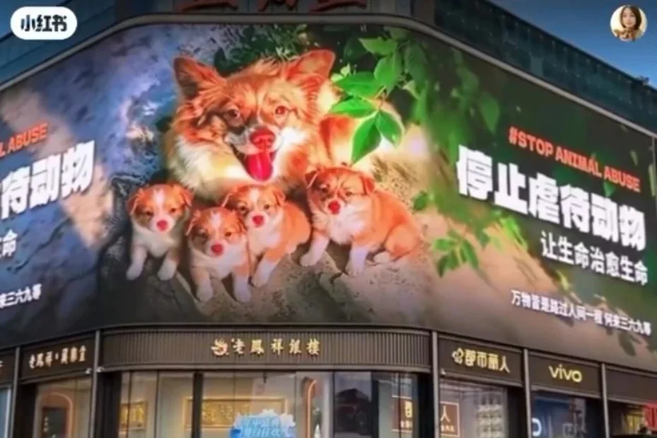 「旺旺一家」的影像持續登上各地大螢幕電視牆。圖片取自小紅書