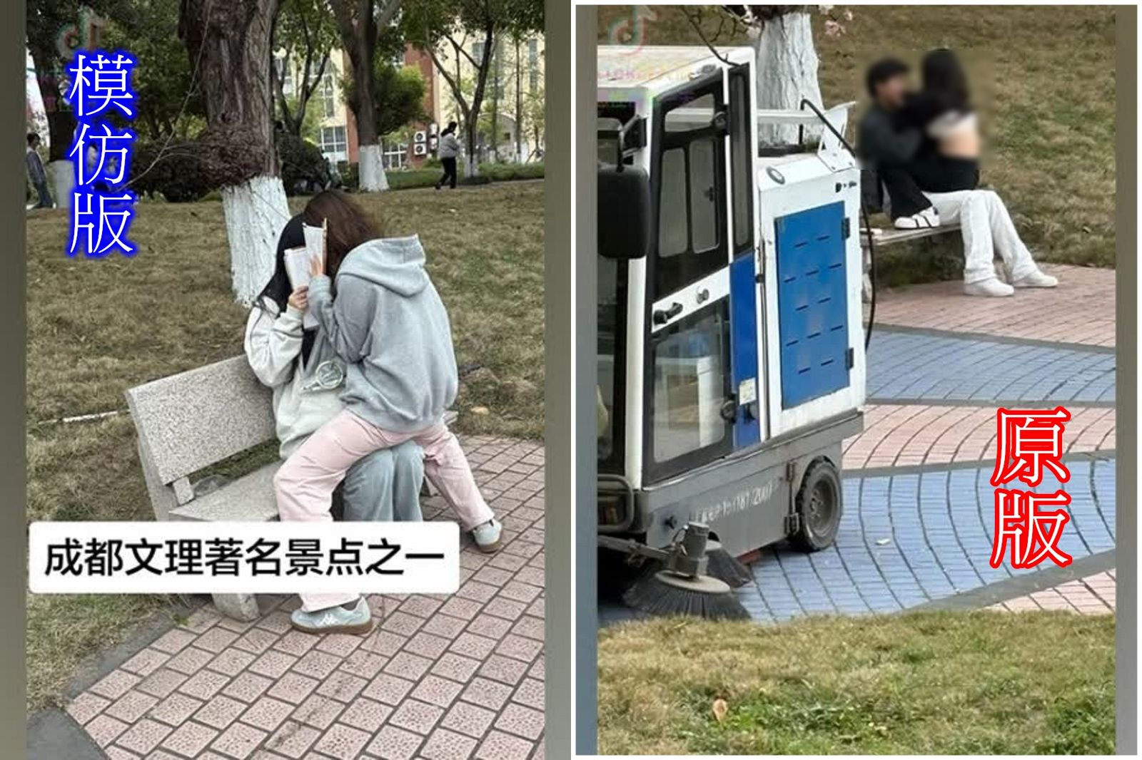 情侶把校園長椅當情趣椅　留下「愛的遺跡」！成打卡熱點全校模仿