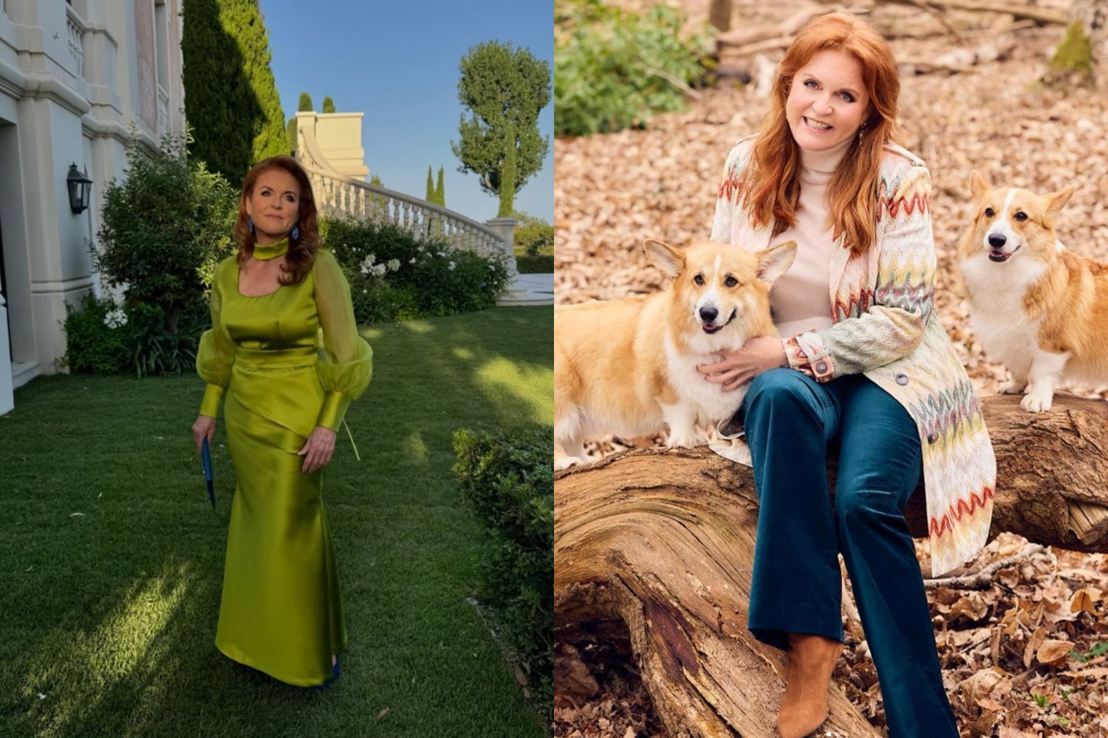 英國約克公爵夫人電郵「戀童癖」富豪　遭大量慈善機構切割