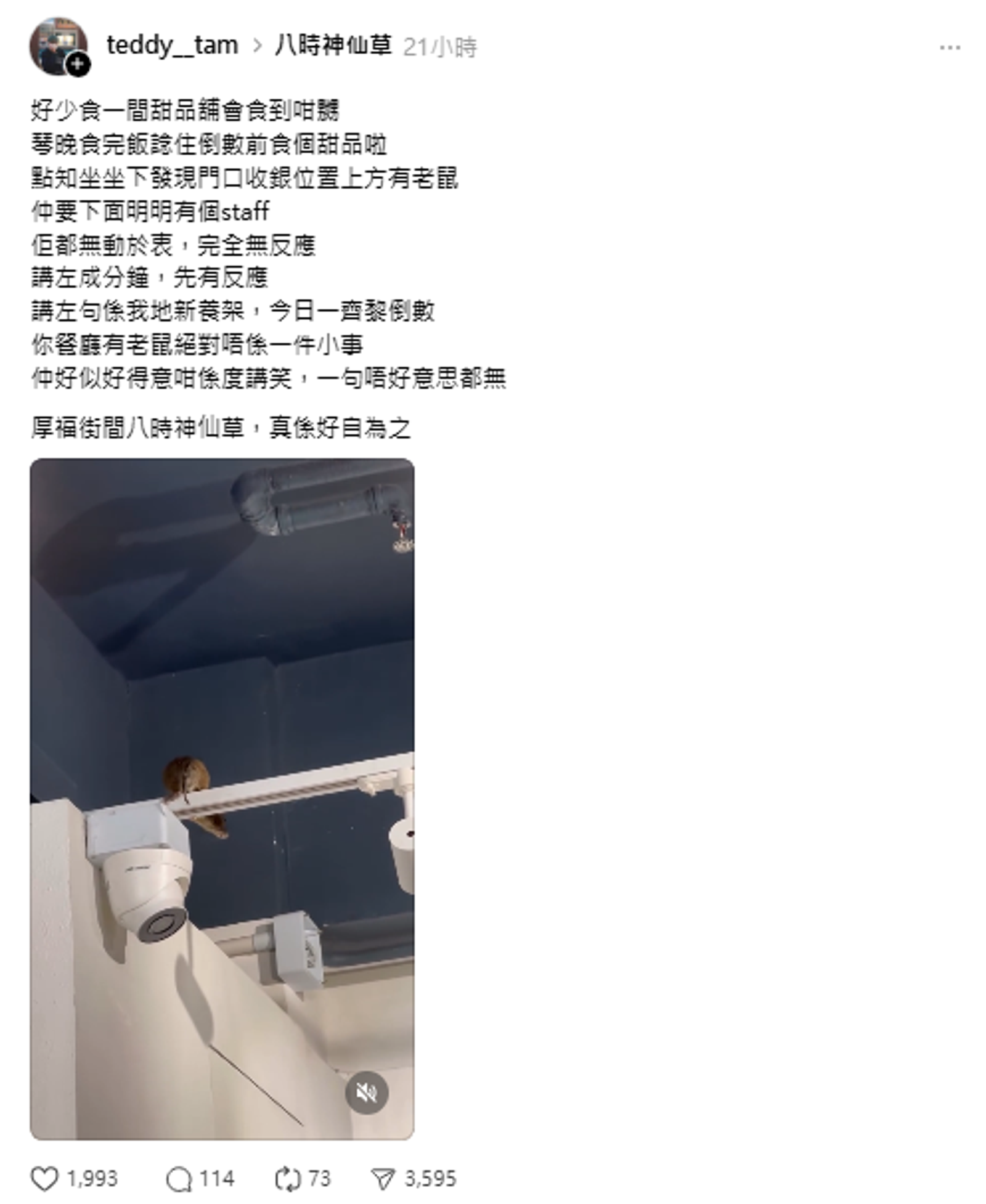 香港有網友在甜點店發現巨大老鼠。圖/翻攝自Threads