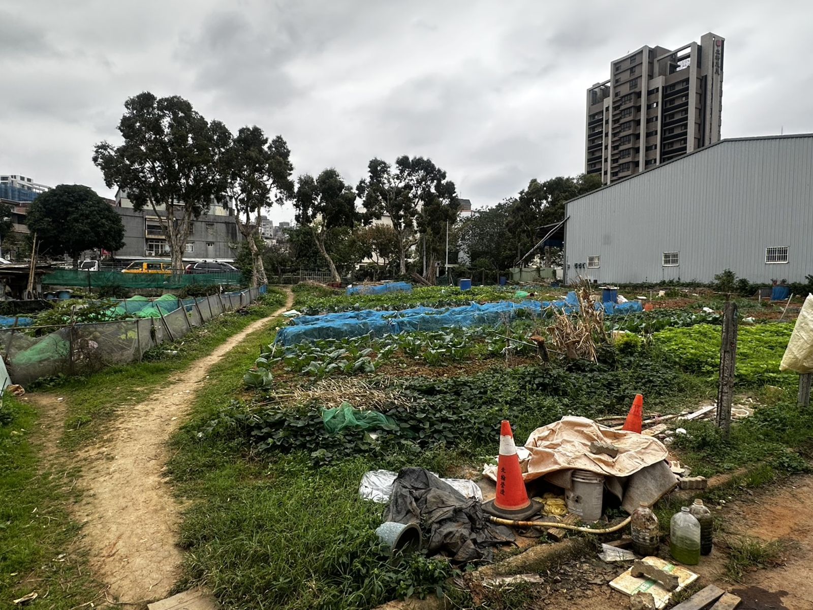 男人你越界了！種菜搶地盤　林口老翁身中多刀送醫不治
