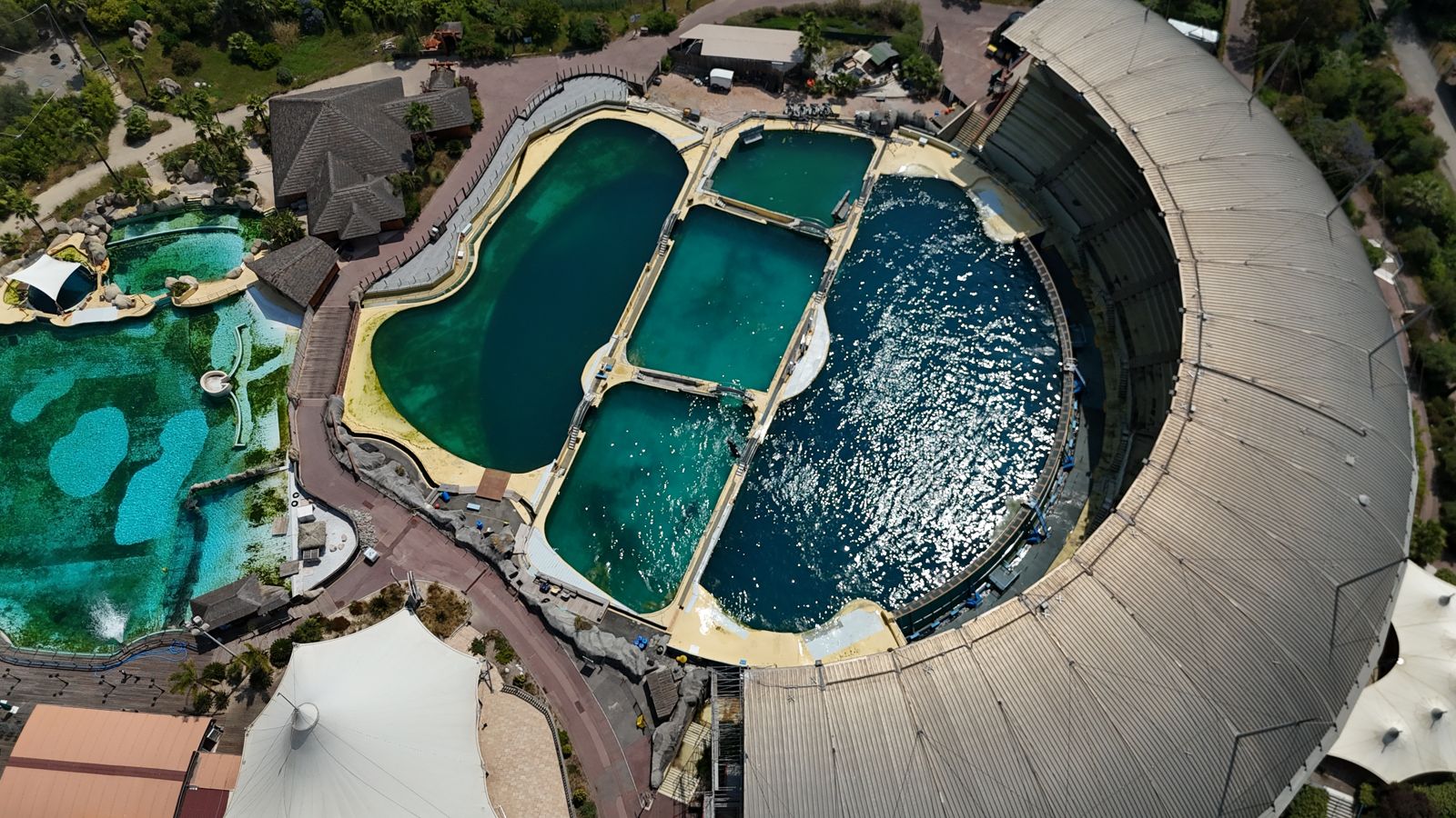 動保組織認為,這些海洋生物所處的水池環境已嚴重荒廢,不僅水質極差,更缺乏應有的維護。圖/取自東方IC
