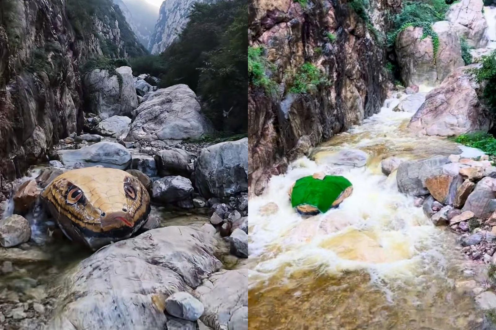 巨大蟒蛇躺河床！銳利雙眼「直盯遊客」超嚇人。圖／翻攝自微博