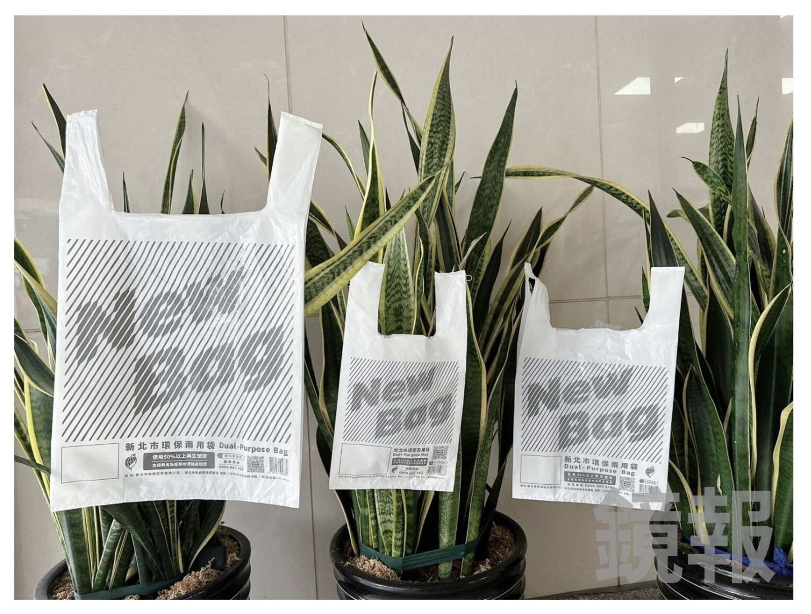 新北環保袋NEW BAG奪年度設計獎　環保局竟掛虎尾蘭上展示　設計師氣到不想領獎