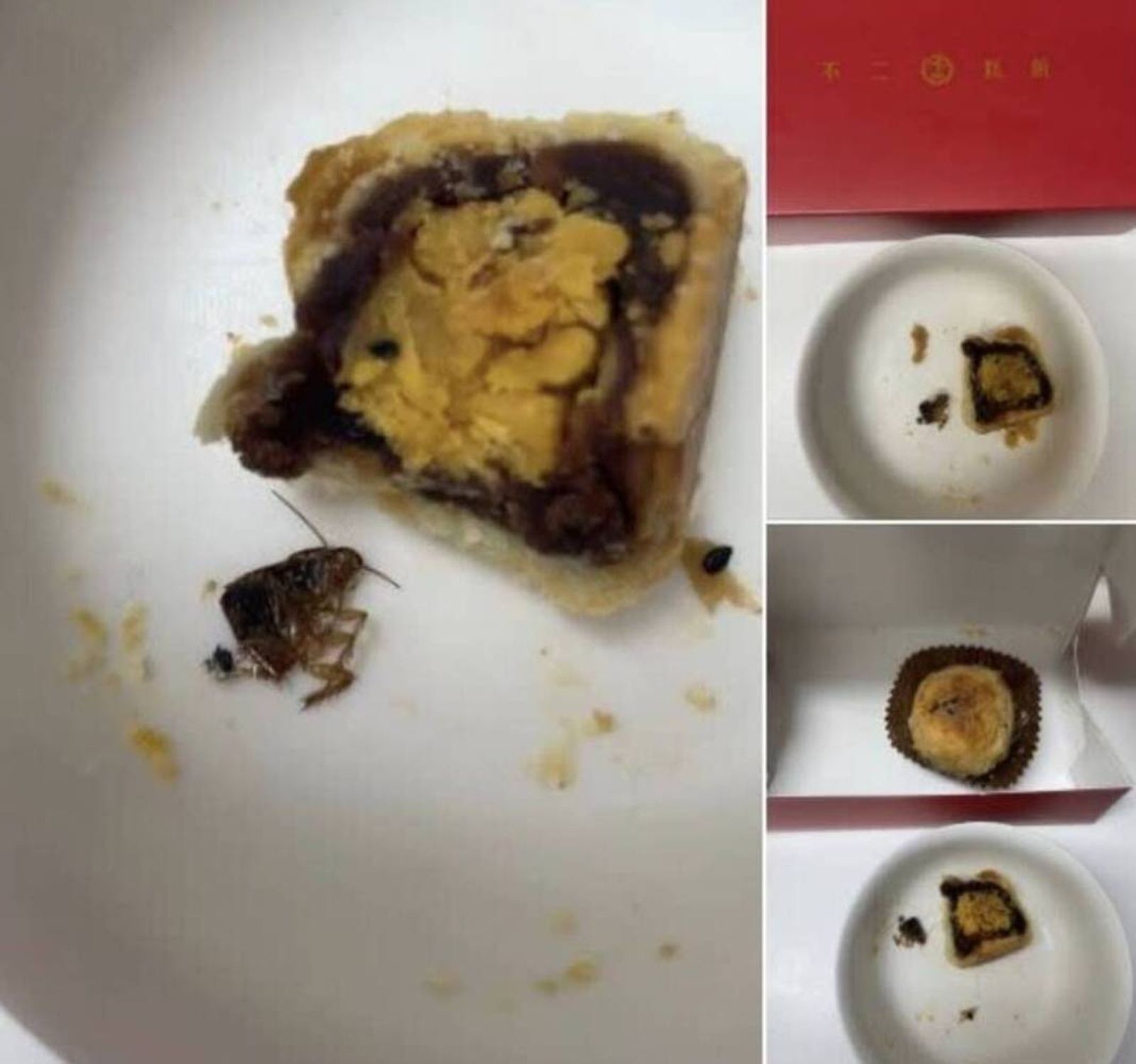 越描越黑?被爆蛋黃酥「包蟑螂」台中名店「不二糕餅」提告自清 北檢這原因不起訴