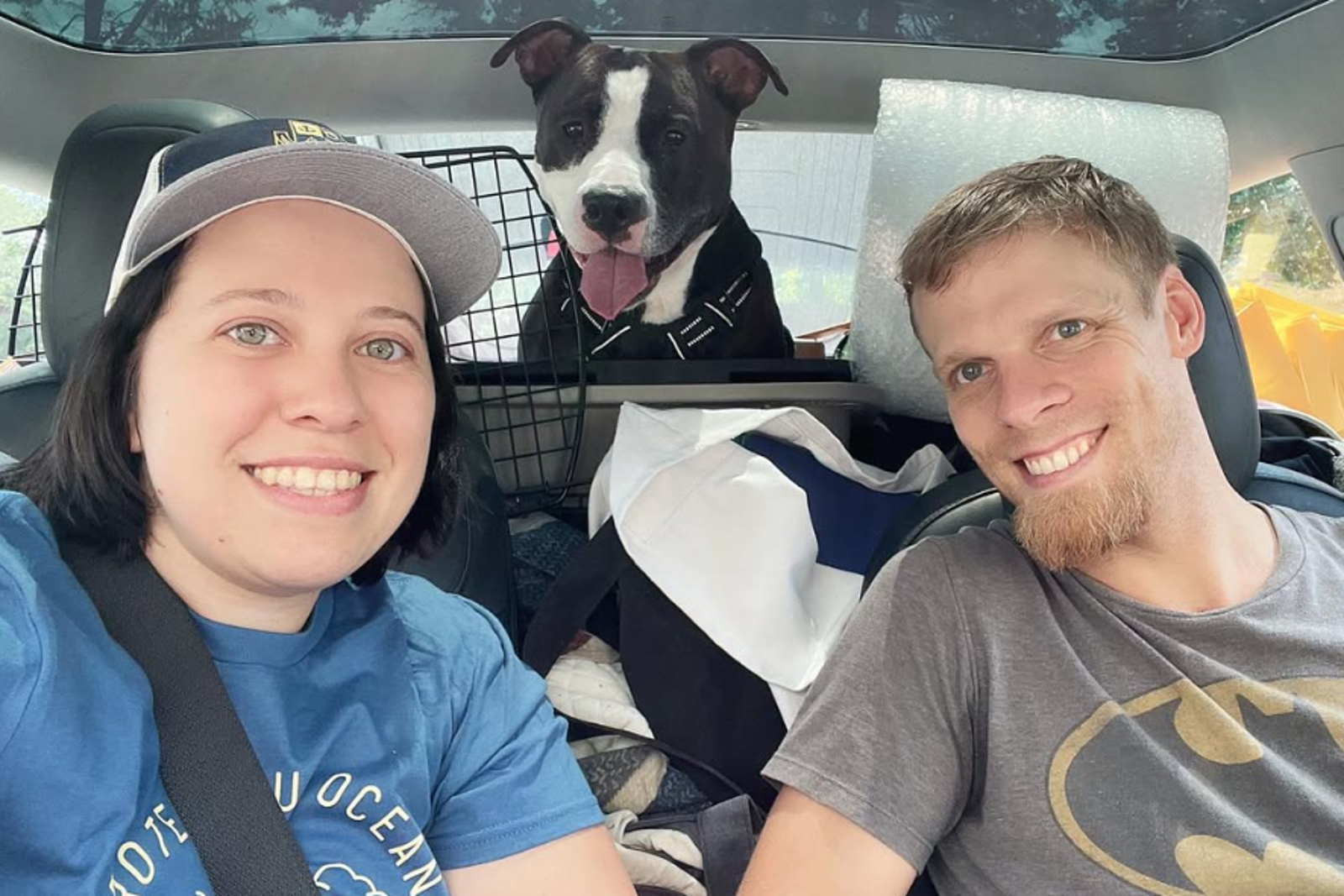 卡吉與丈夫收養3隻狗與4隻貓。圖/翻攝自IG@thetravelbugbite