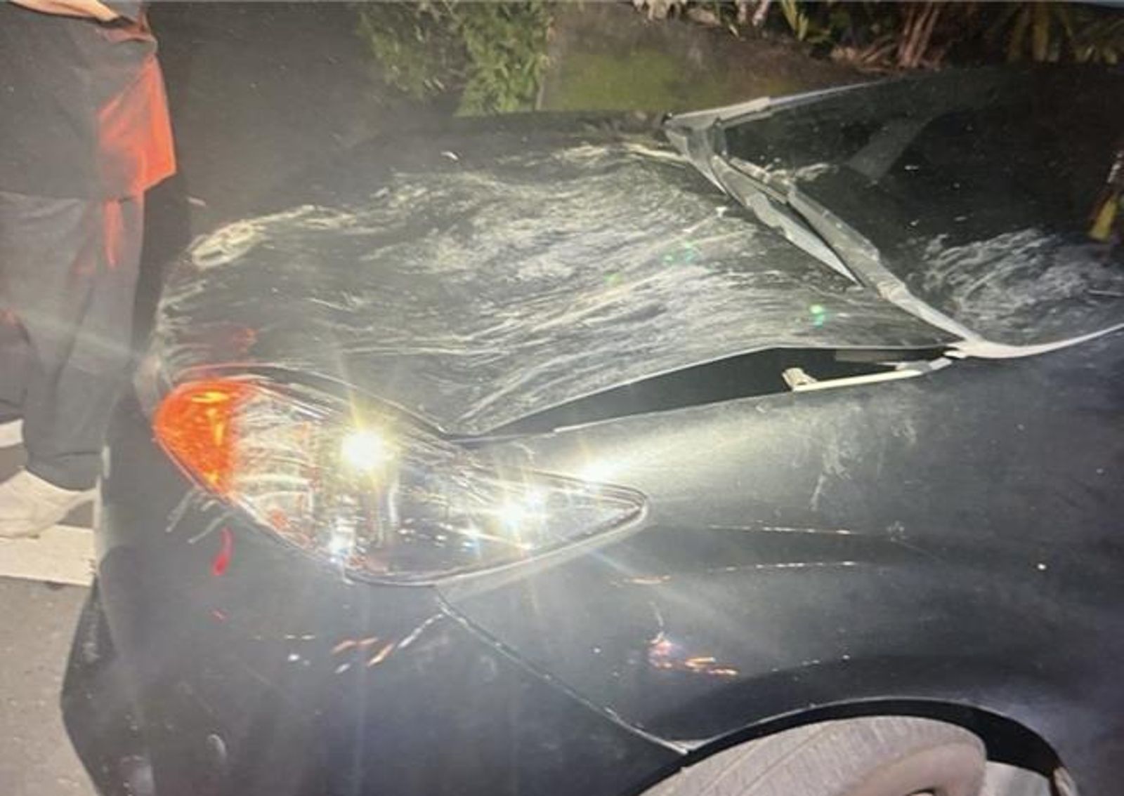 鴕鳥逛大街發生車禍,造成行經德轎車引擎蓋毀損。翻攝畫面