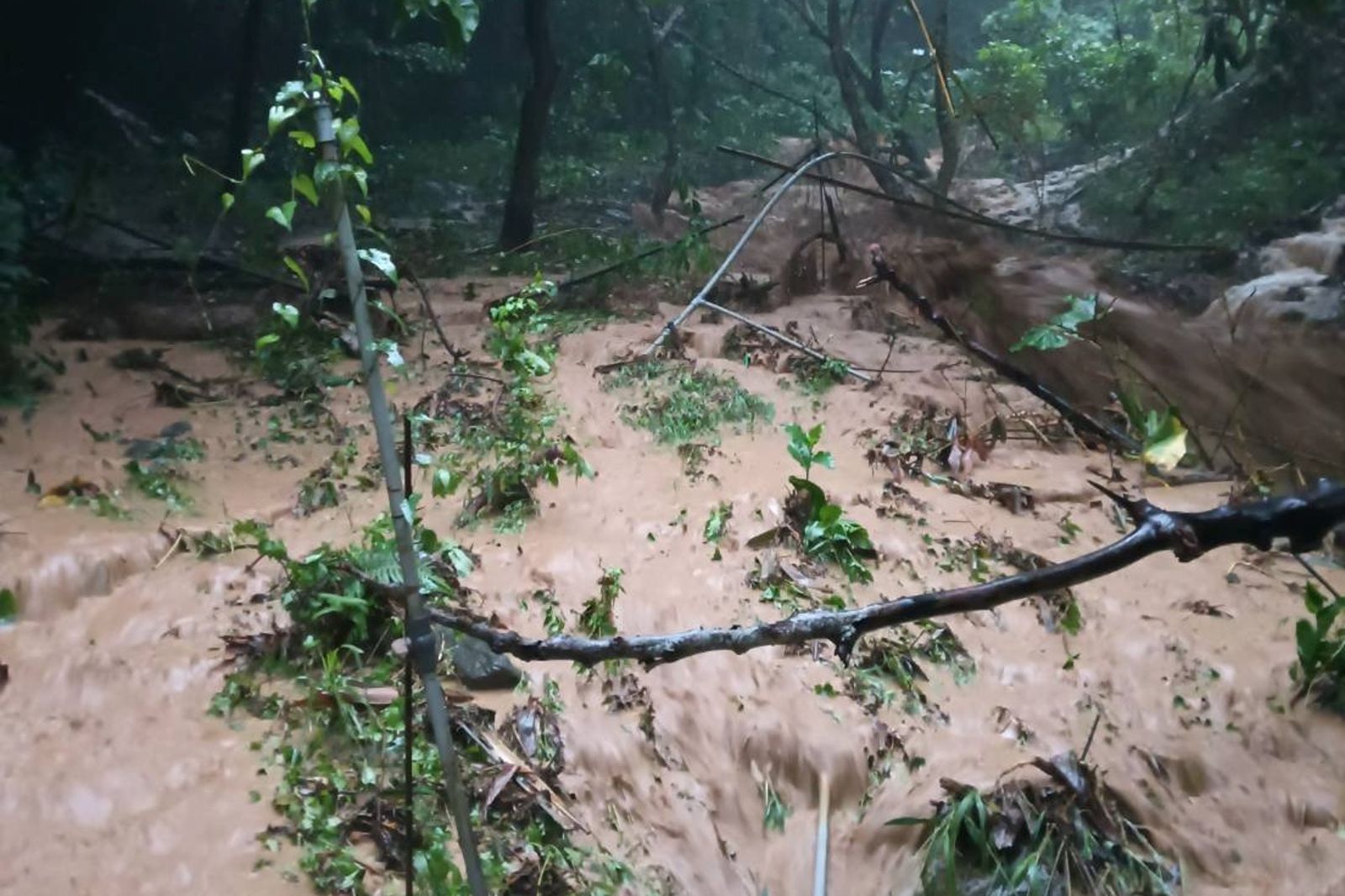 台東大武鄉大鳥村和平部落發生土石流。圖／翻攝自記者爆料網
