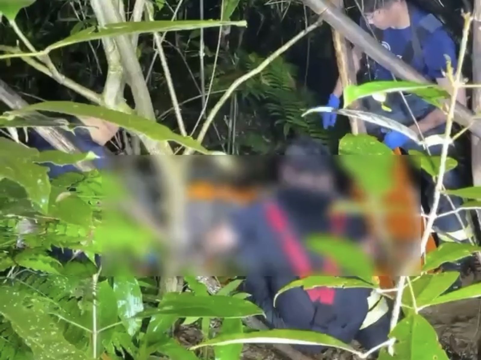 「警」急救援!男子獨爬象山失足跌落邊坡 北市警摸黑搜山搶命