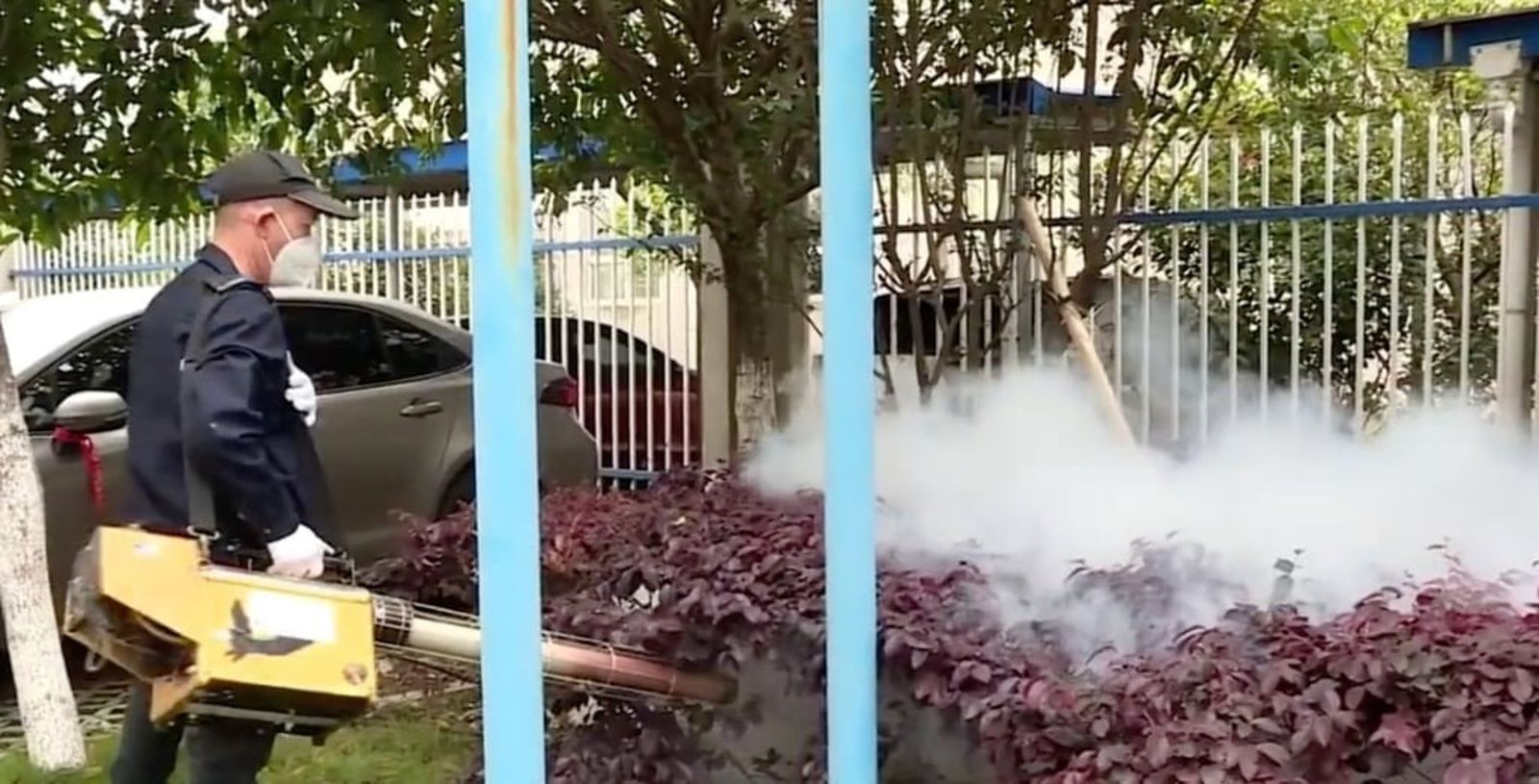 以為得登革熱竟是「屈公病」！台灣男子痛2年、親身經歷曝關鍵差異