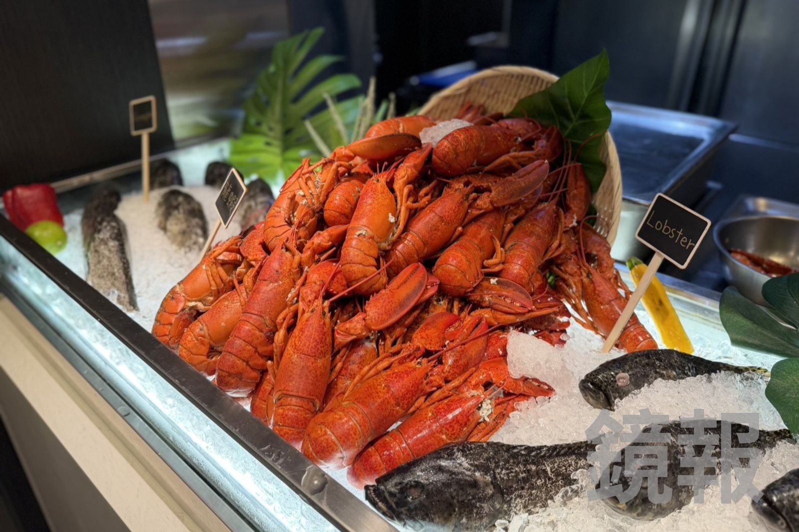 吃蝦子、龍蝦就癢？竟然跟塵蟎有關！過敏真相一次看懂