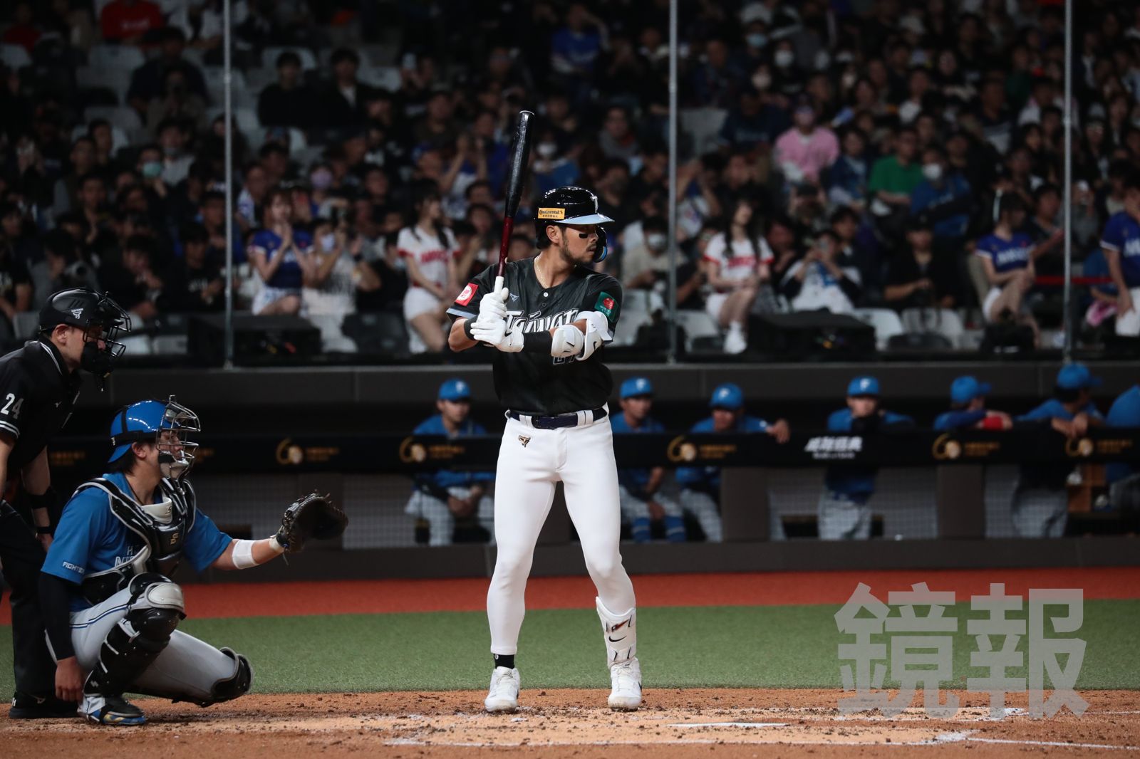 中華隊WBC首戰澳洲！與徐若熙持續溝通　林家正：每一球都很重要