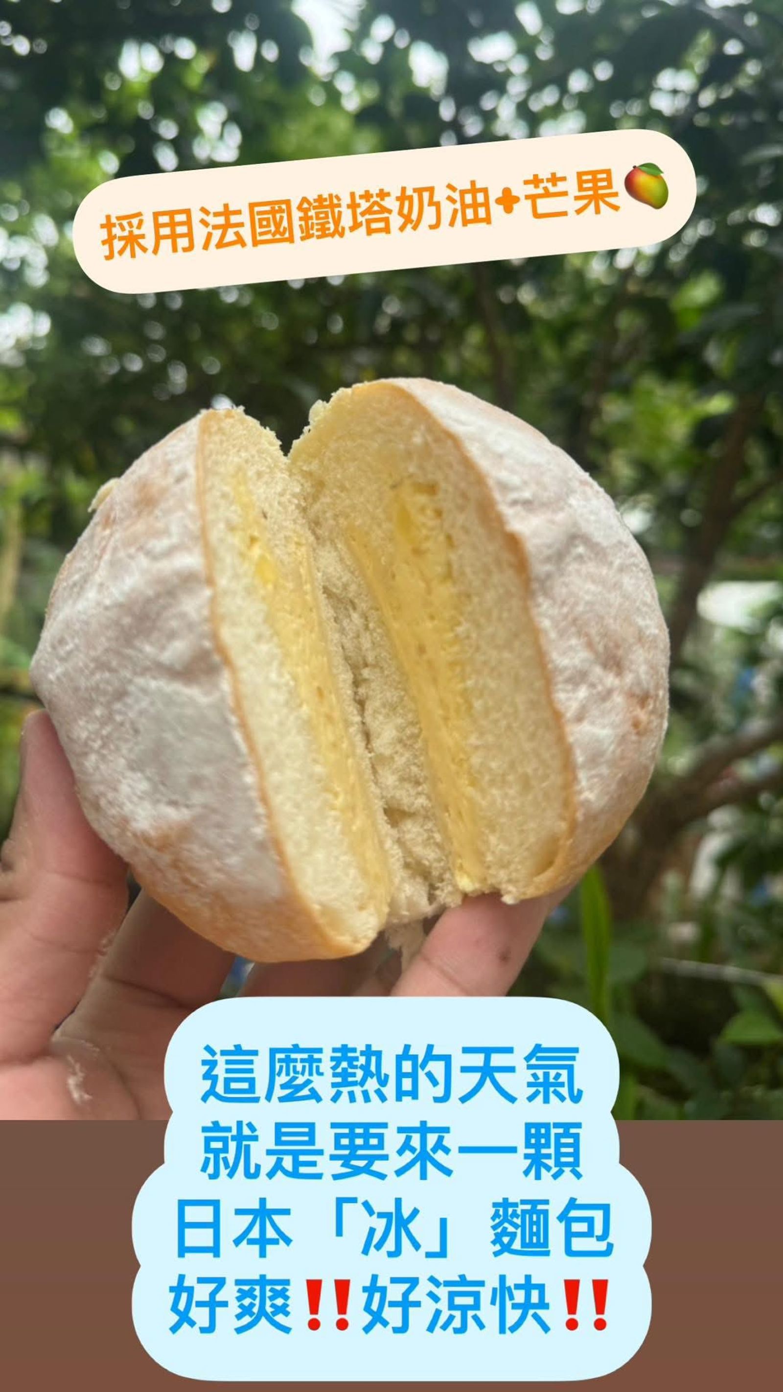 限量商品冰麵包售價120元，加盟主進貨價卻高達100元。翻攝小鳥吃吐司官網