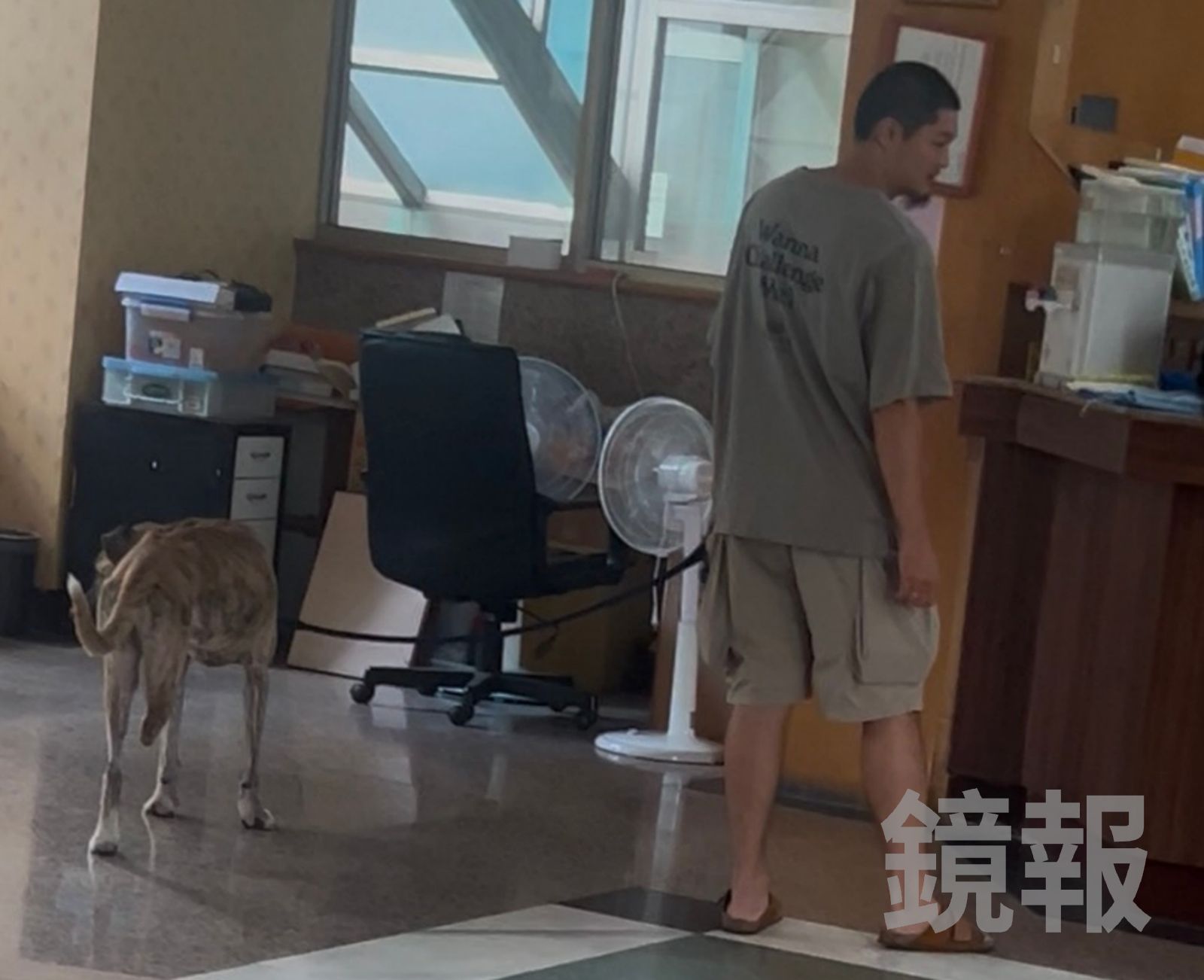 Leo王身邊只有愛犬陪伴。讀者提供