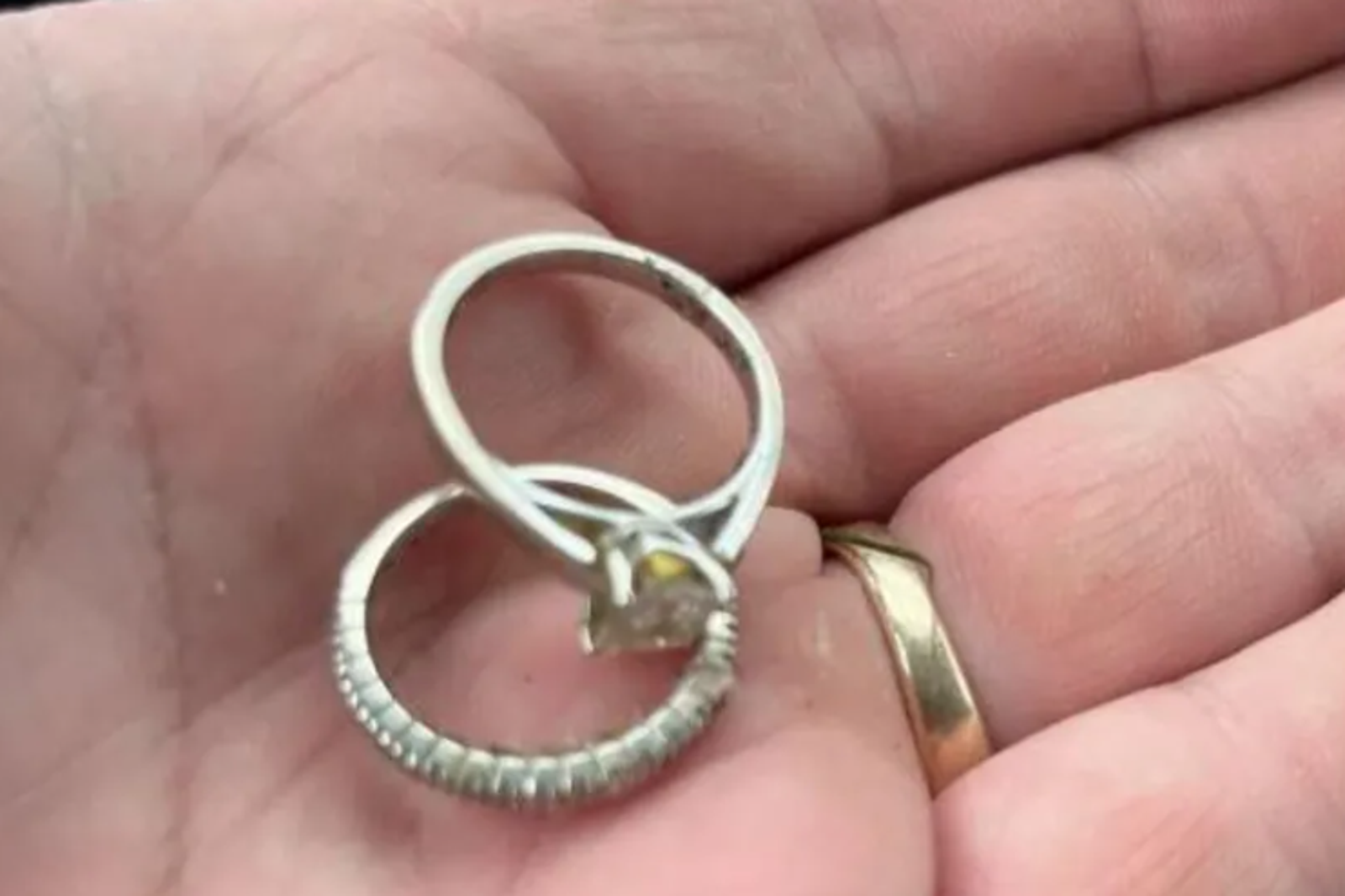 「你永遠不會知道,你得試一試」 尪18噸廚餘堆認出香腸找到「大祕寶」!妻淚是愛