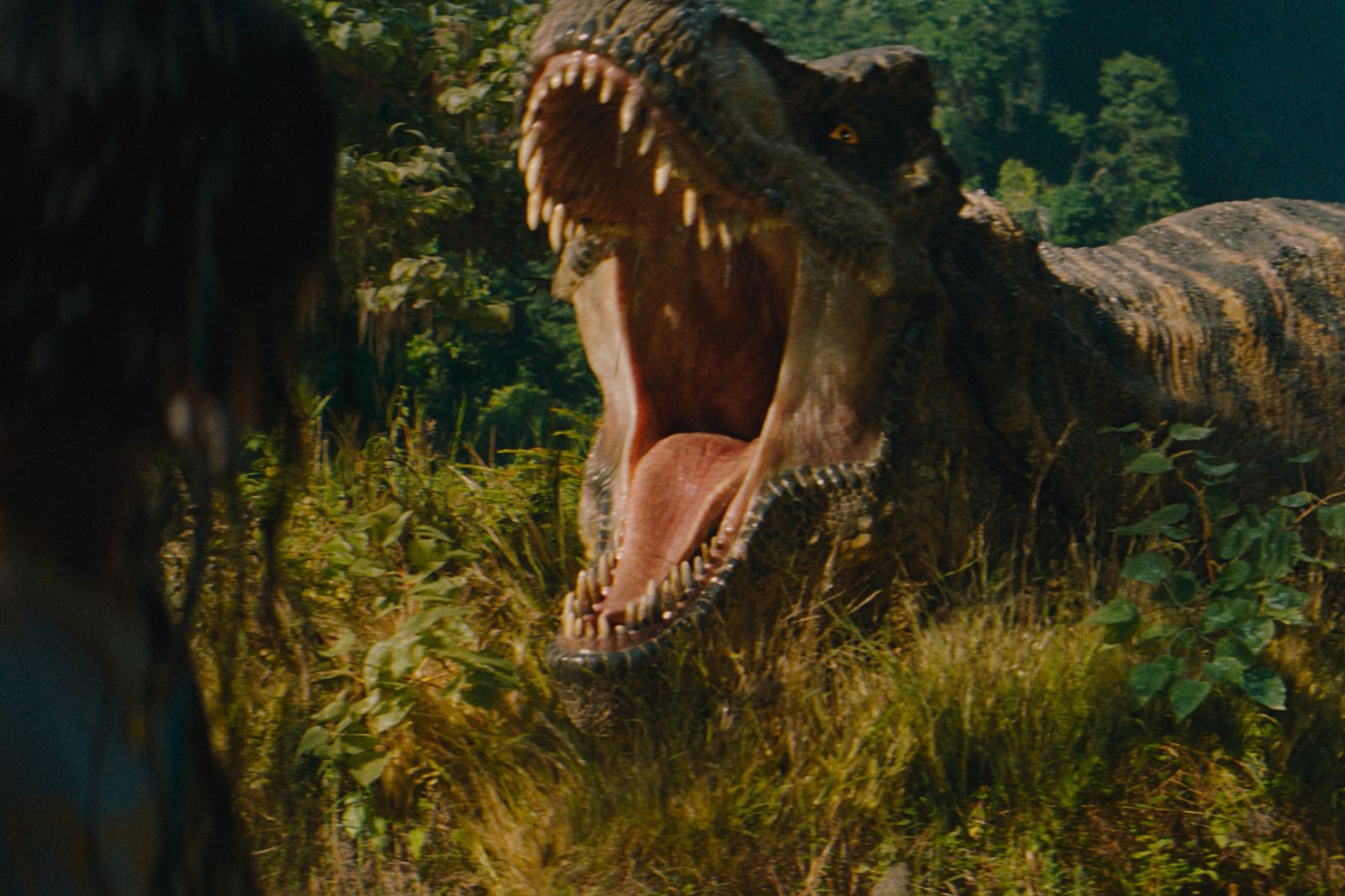 《侏羅紀世界：重生》恐龍陣容更是史無前例，齊聚共13種恐龍上陣。UIP提供