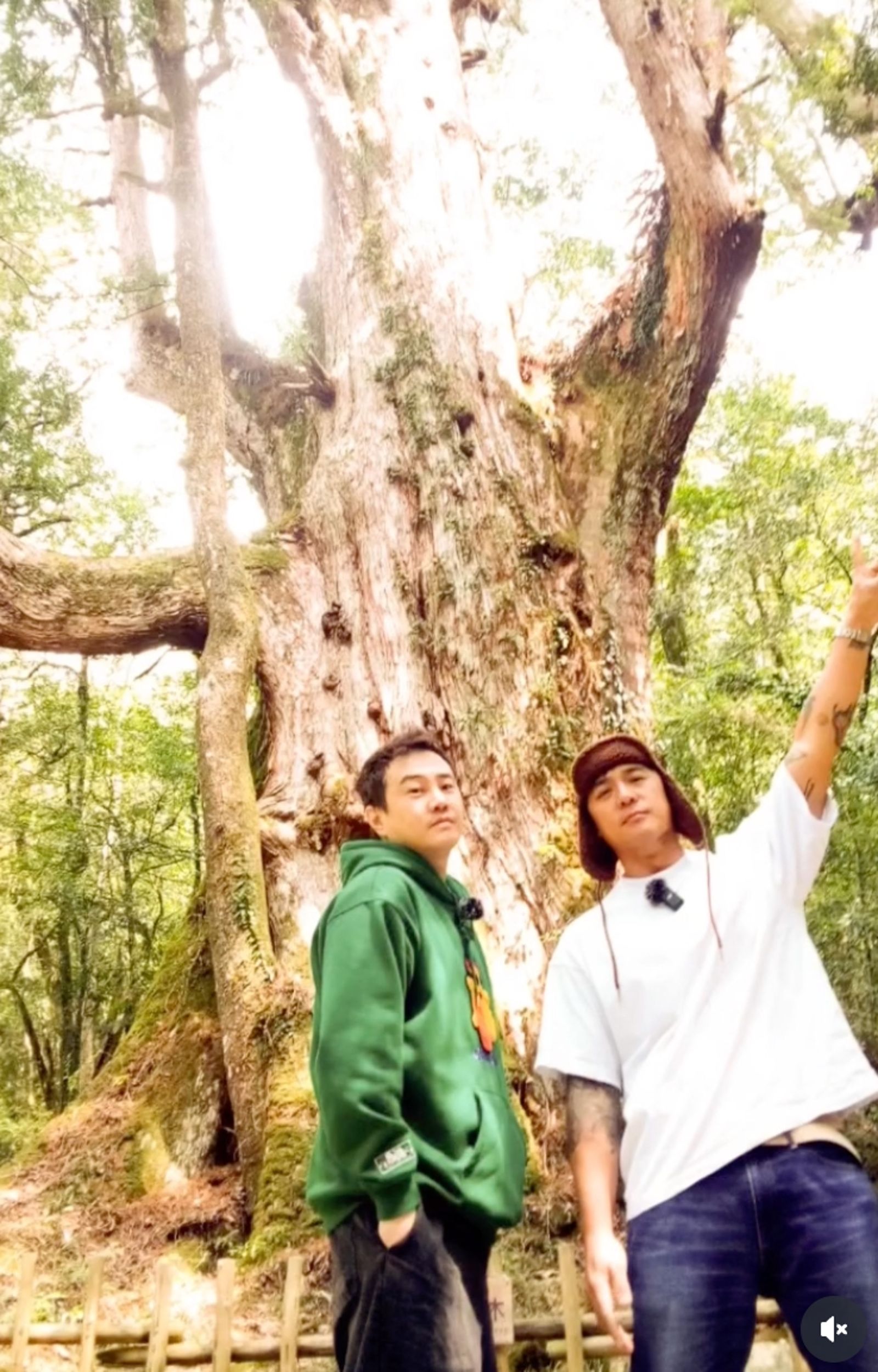 凡妮莎強調自己有幫綠茶接《台灣第一等》等節目。翻攝IG＠junyoungrim_