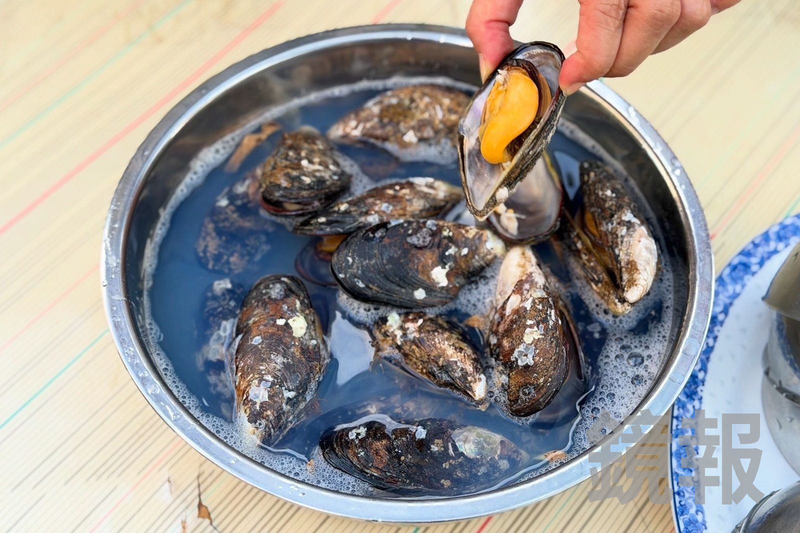 用清水滾煮,最能凸顯現撈淡菜的鮮美與彈Q肉質。(150元/500公克)