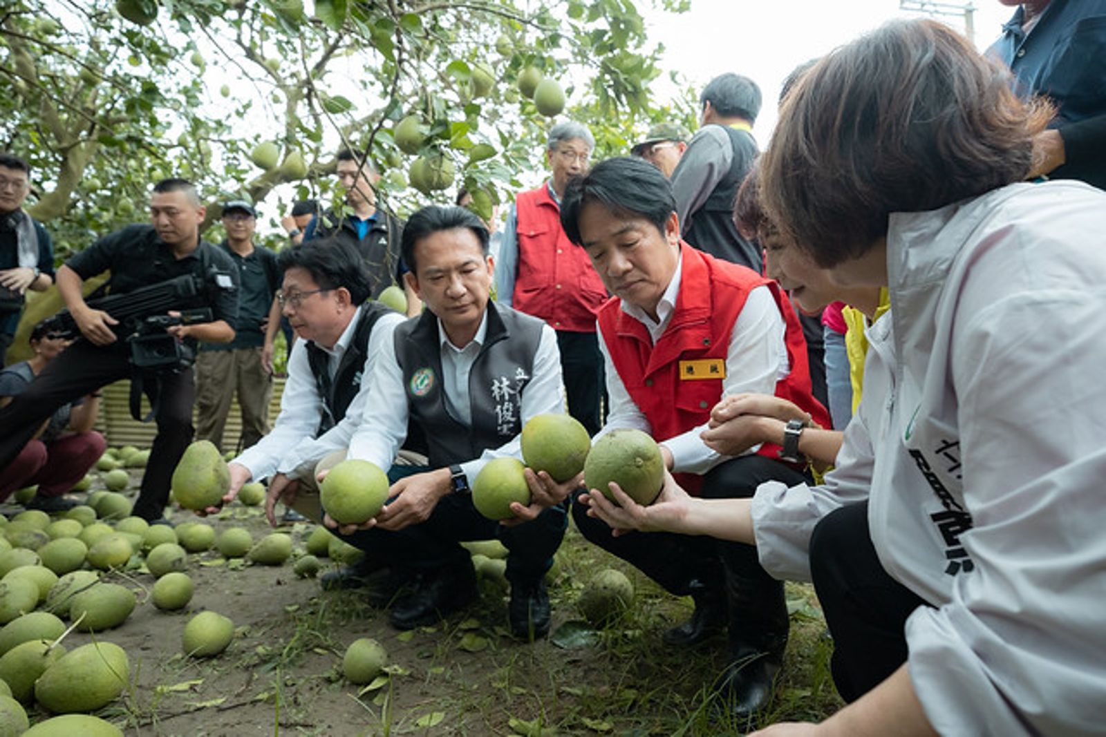 丹娜絲強襲南台灣!賴清德赴台南關心柚農 卓揆視察嘉義拚今晚全數復電
