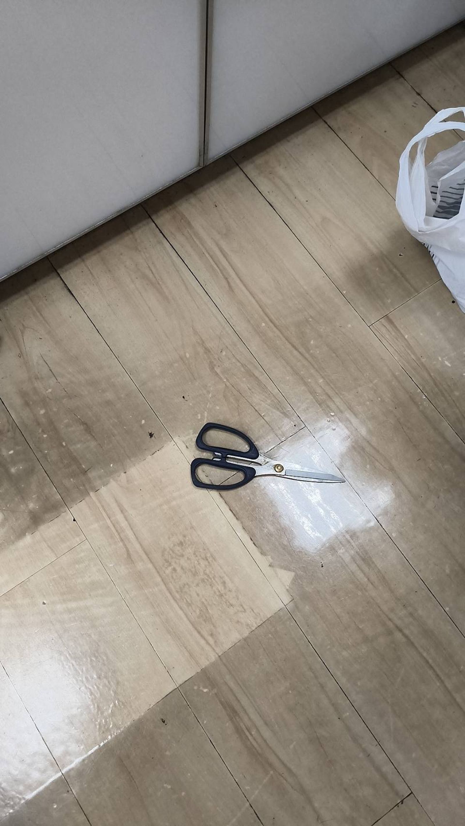 犯案用的剪刀。翻攝畫面