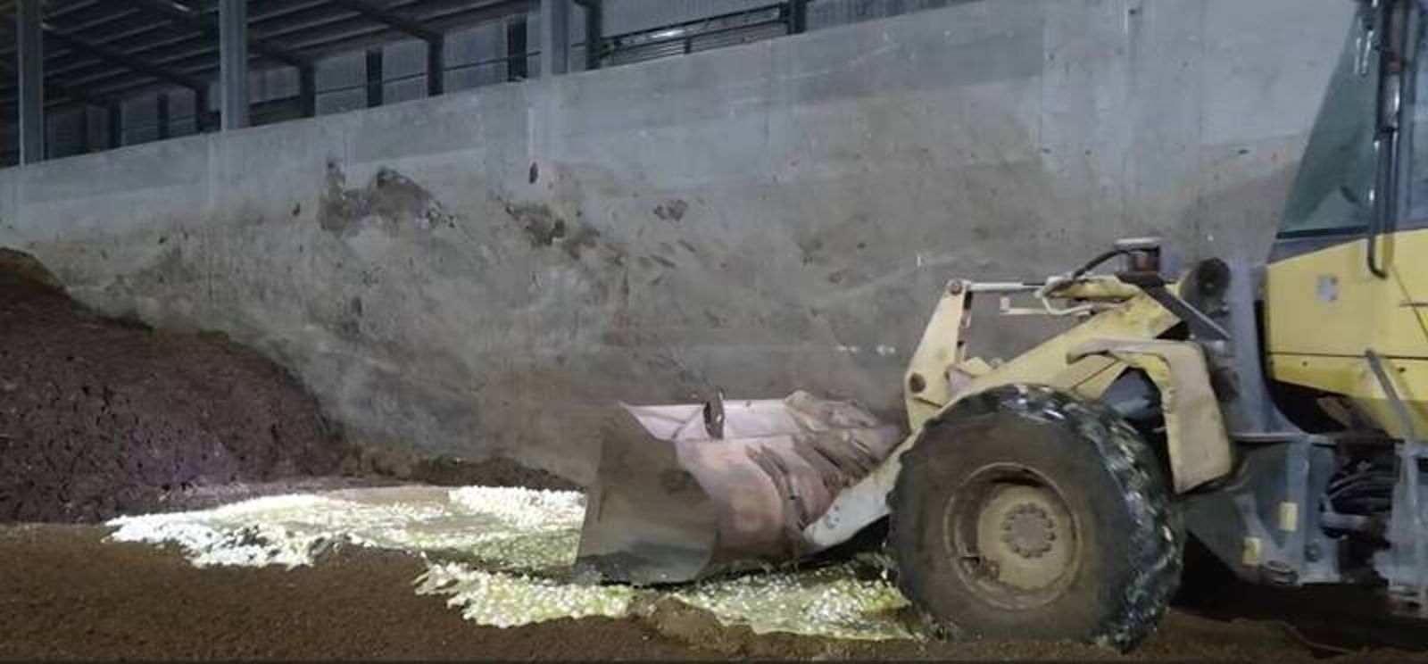 彰化芬普尼毒蛋全銷毀　文雅畜牧場25.6萬顆蛋連夜清除、雞群停產防外流