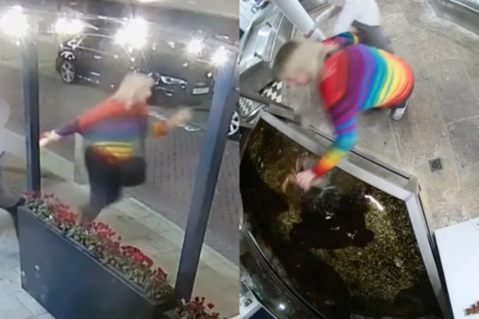 動保女餐廳偷走活龍蝦！「扔海放生」竟害牠被凍死　老闆傻眼：這是寵物