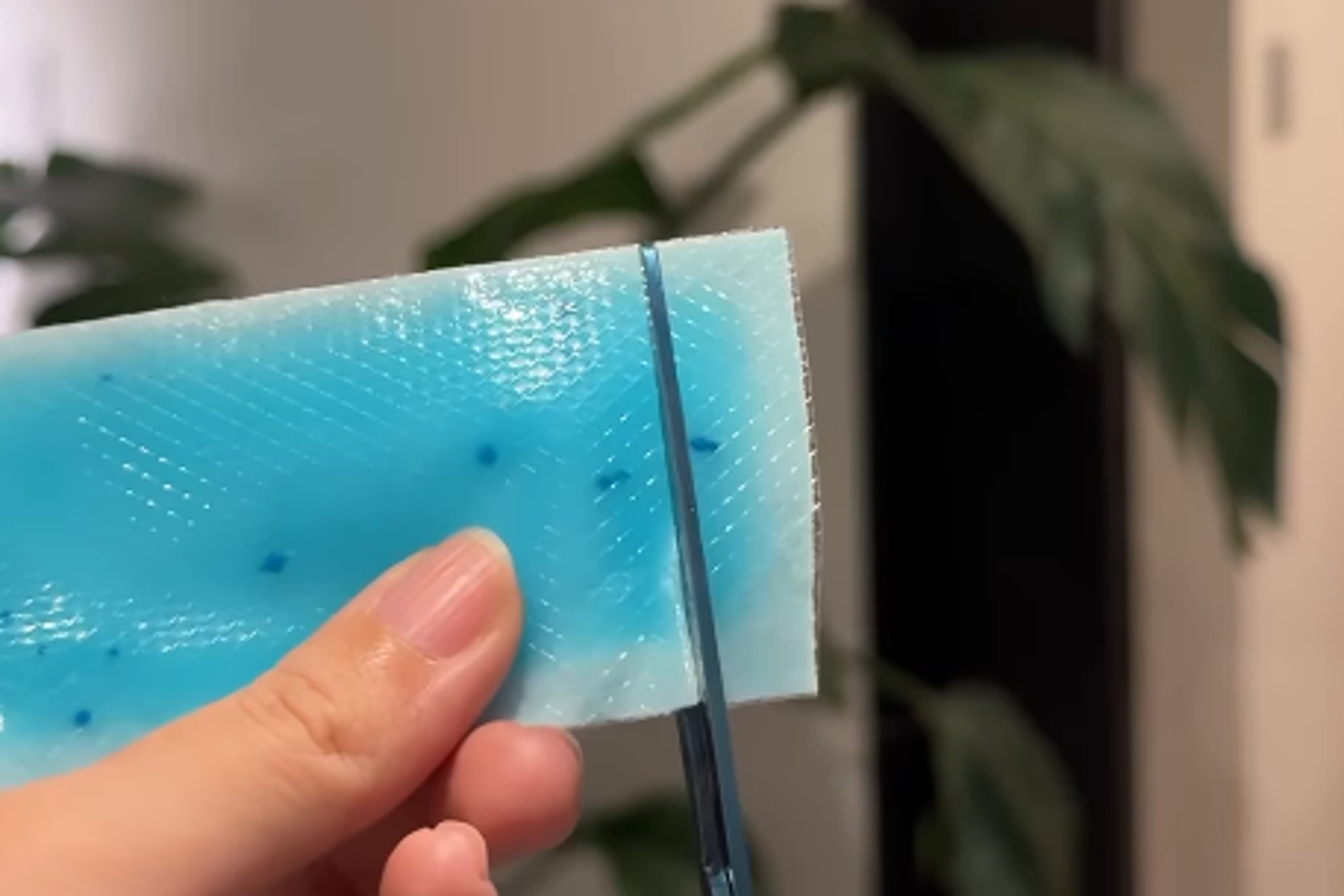 退熱貼降體溫還能助眠?中醫師解釋原因 網點名「消炎貼布」也有效