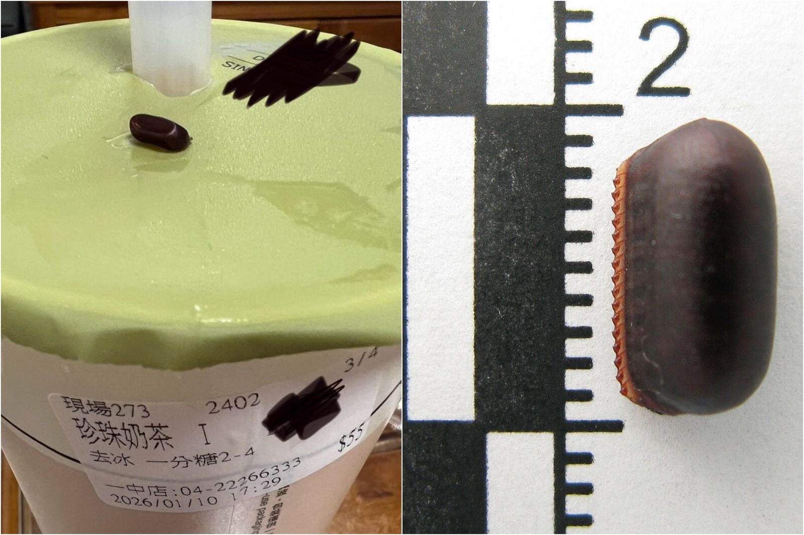 將蟑螂蛋沖馬桶超NG！專家示警「還會孵化」　3招有效根除
