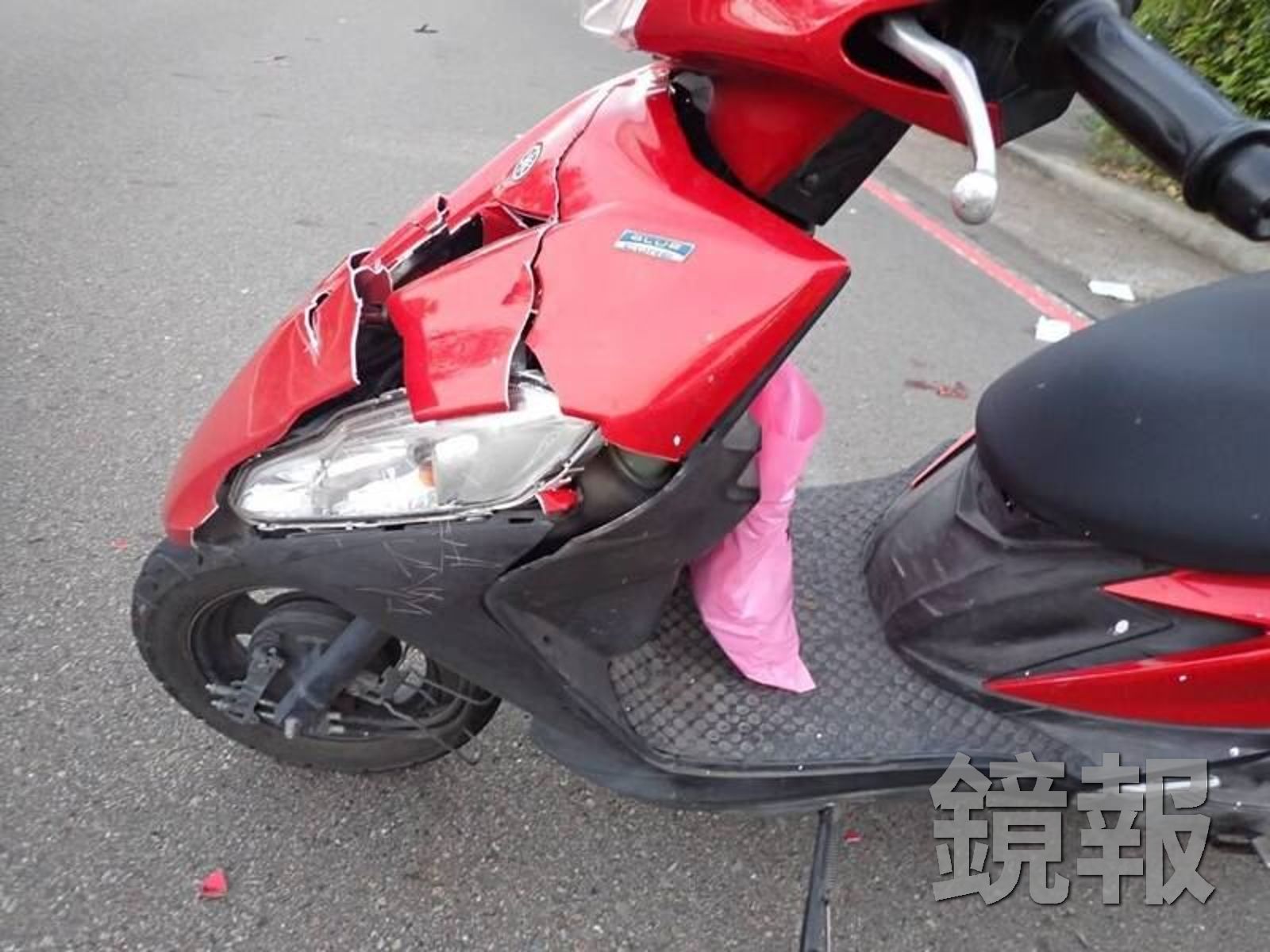 大肚山路段有水鹿從草叢中竄出,害騎士摔車。讀者提供