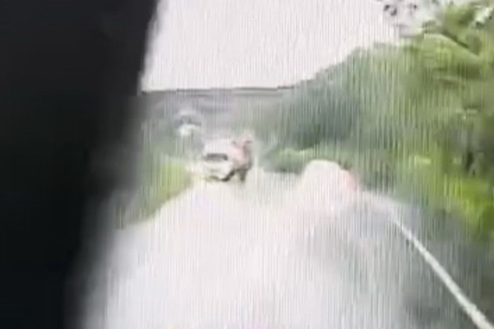 小貨車疑似過彎打滑失控,逆向撞上砂石車。民眾提供