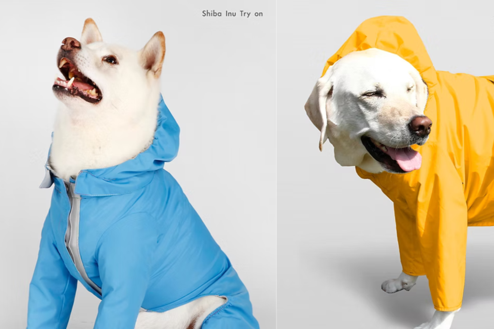 台中寵物展7／18開跑！飼料、雨衣、保健品一次買齊再送千元購物金