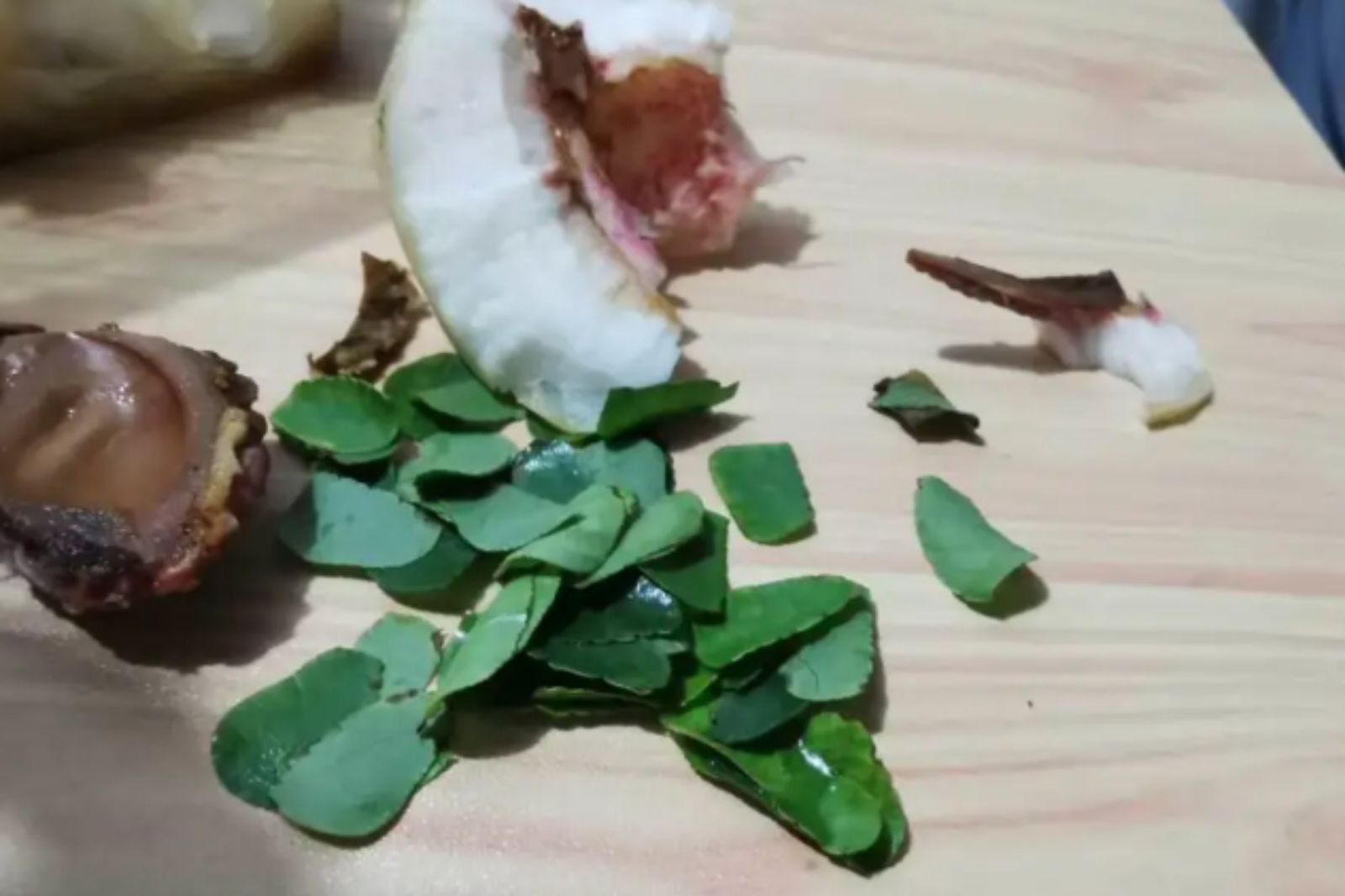 吃桃子竟「咬到滿口樹葉」　昆蟲學家曝是「牠」的家