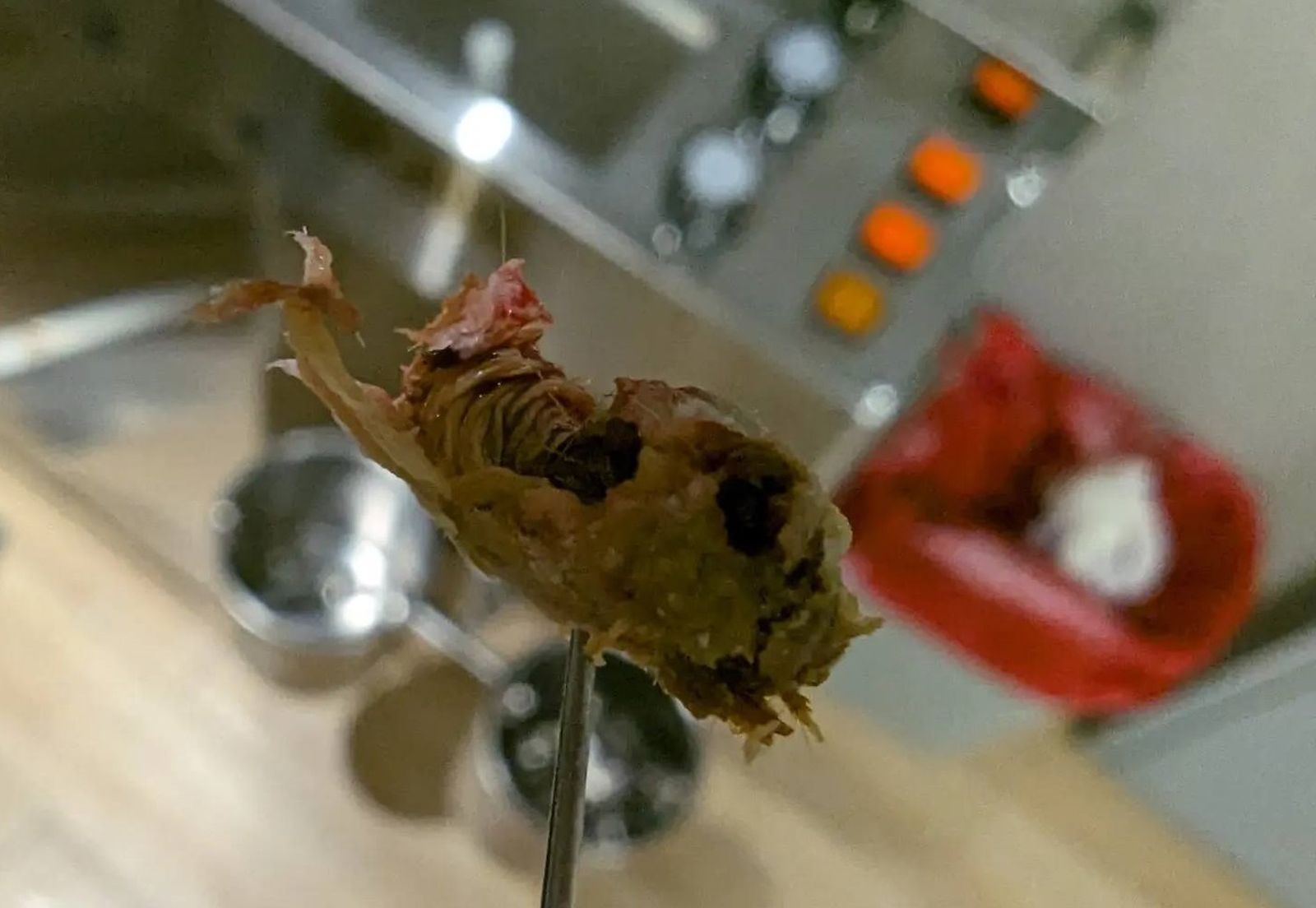 亂挖耳竟推成「地表最猛耳屎」　醫師提醒5類人注意，嚴重恐骨頭變形