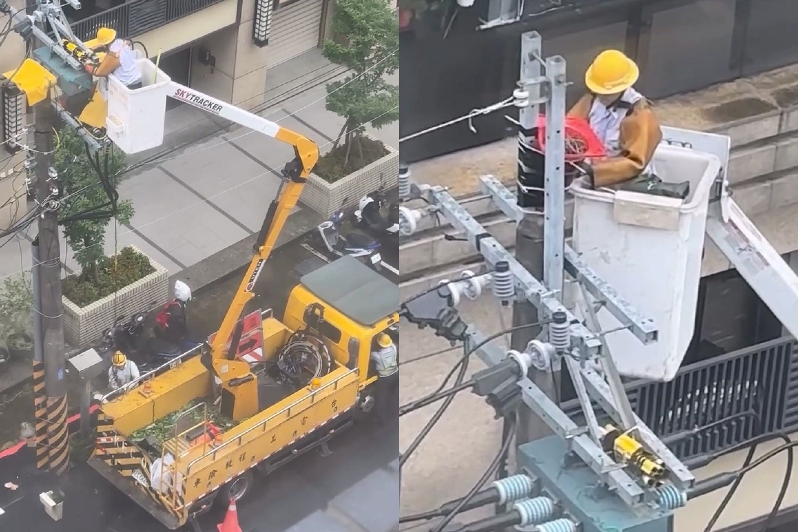 獨家/電桿鳥巢「原地都更」!台電工程師暖心救援 手作「三角錐豪宅」吸萬人朝聖