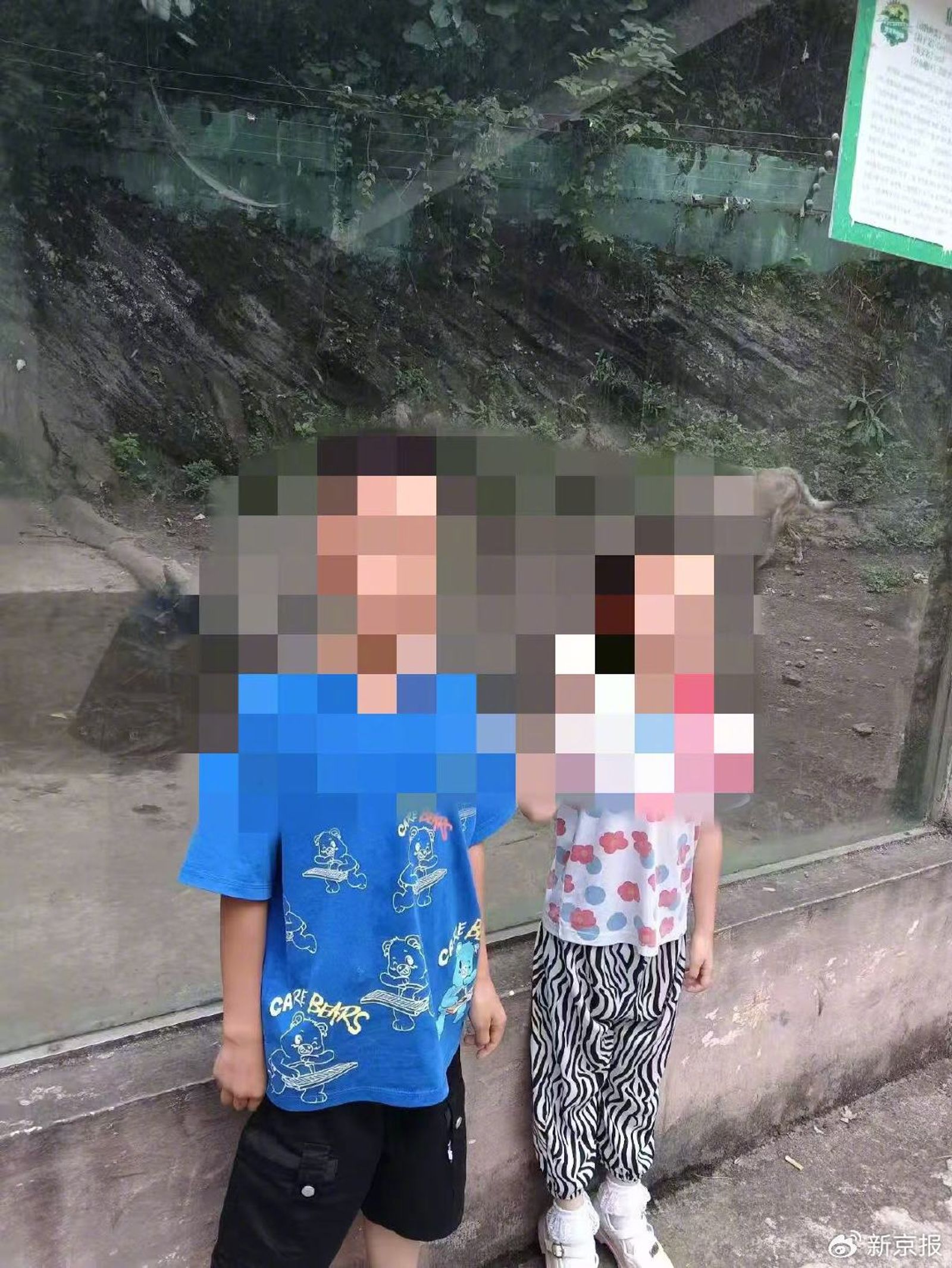 年幼的兄妹倆慘遭父親毒殺。圖／翻攝自微博