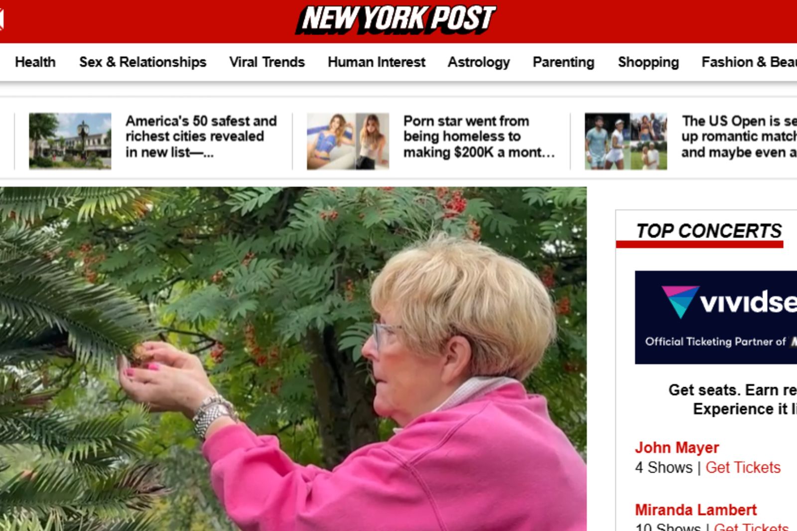 9000萬年前「史前恐龍樹」竟然結果了！種子總價超過20萬元