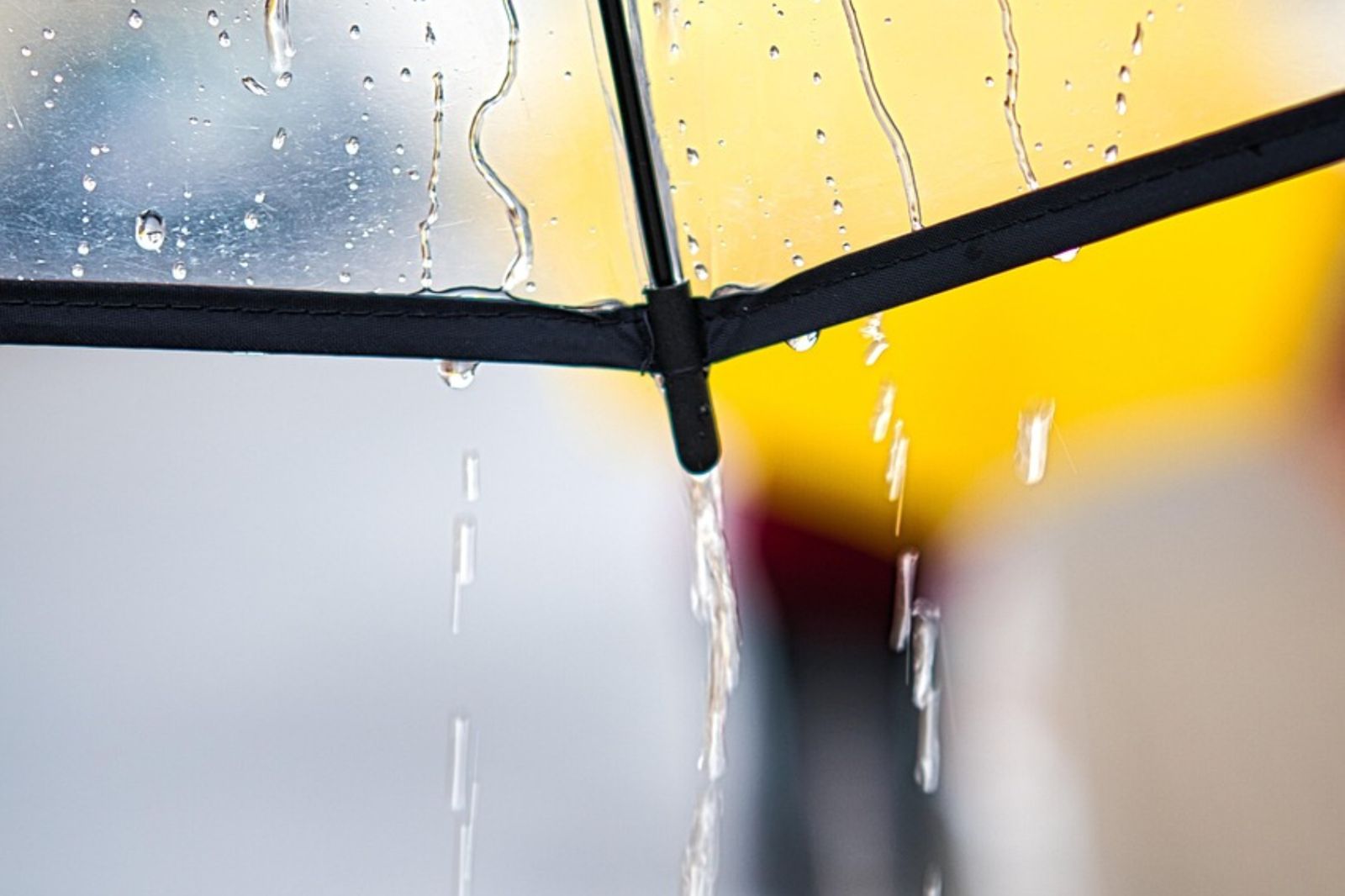 手機天氣APP經常不準？中央氣象署揭「少關鍵1步」結果差很多…很多人都不知道