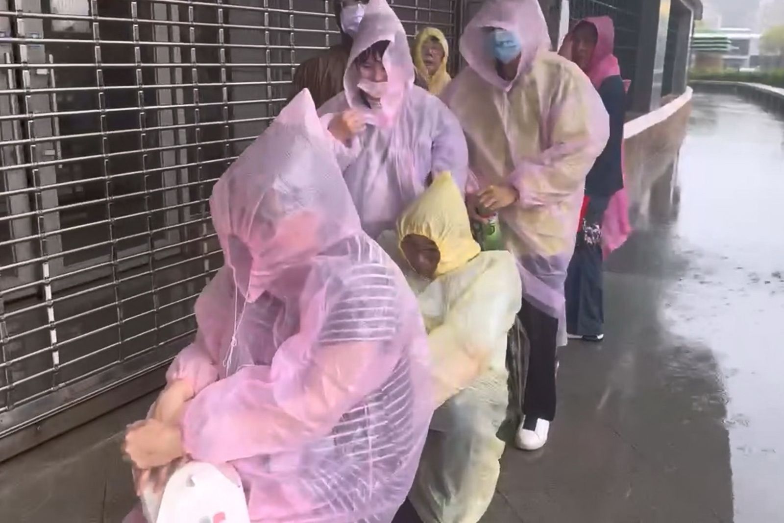 颱風天苗縣府演唱會照辦！鍾東錦致歉「歌星檔期已定」　民眾冒雨排隊頭髮淋濕超狼狽