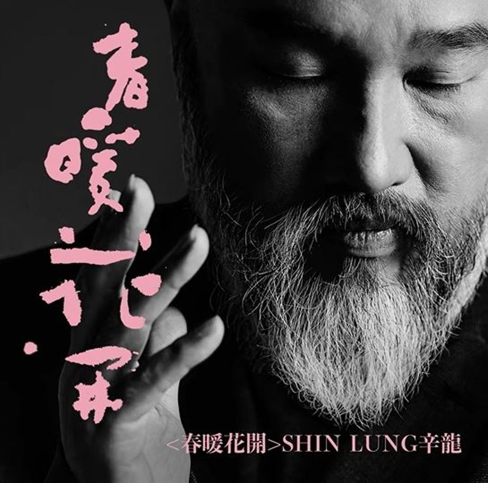 辛龍推出新歌〈春暖花開〉。翻攝辛龍YouTube