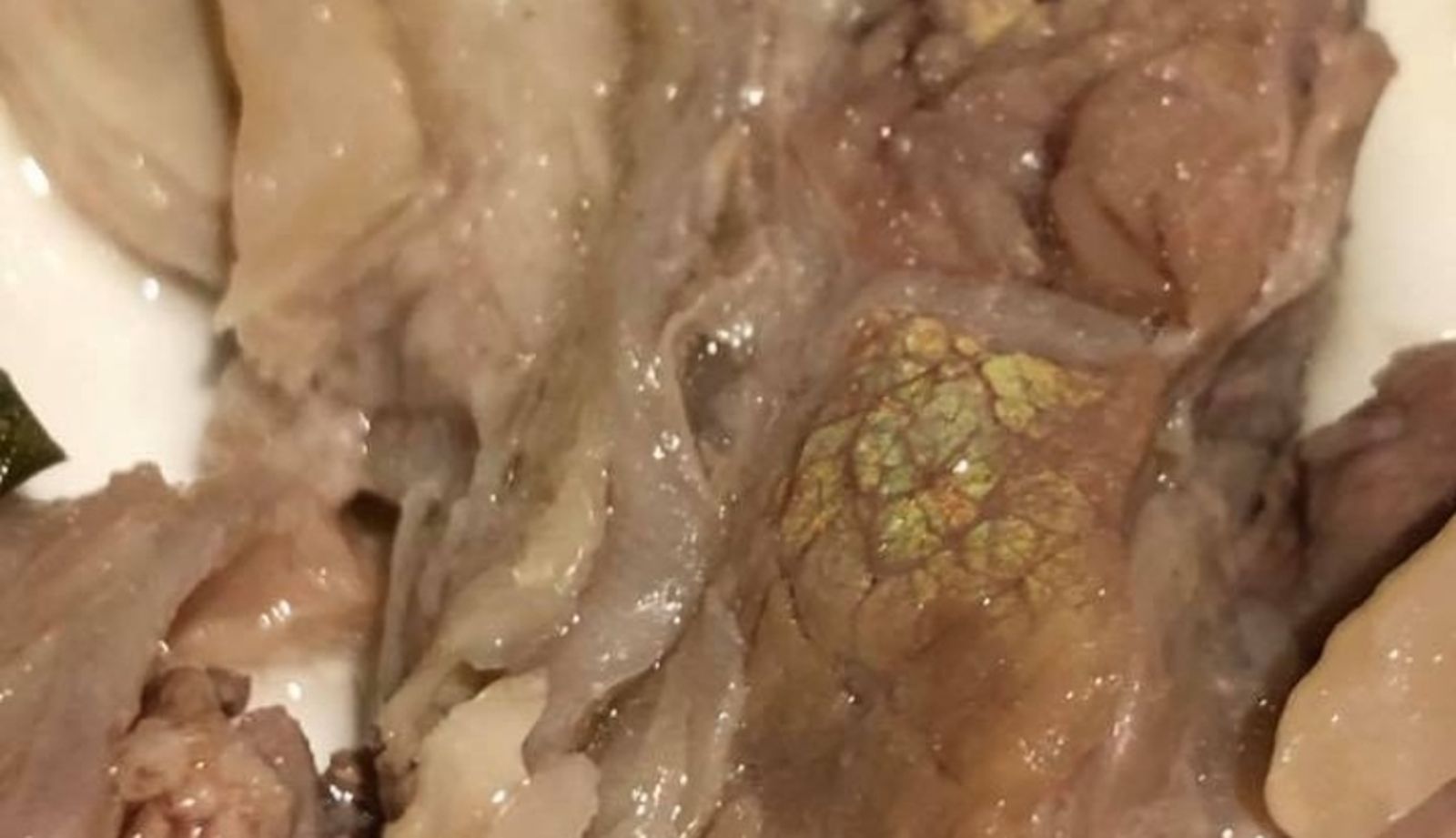 吃肉見「詭異綠光」驚問能吃嗎？　專家解答：很新鮮