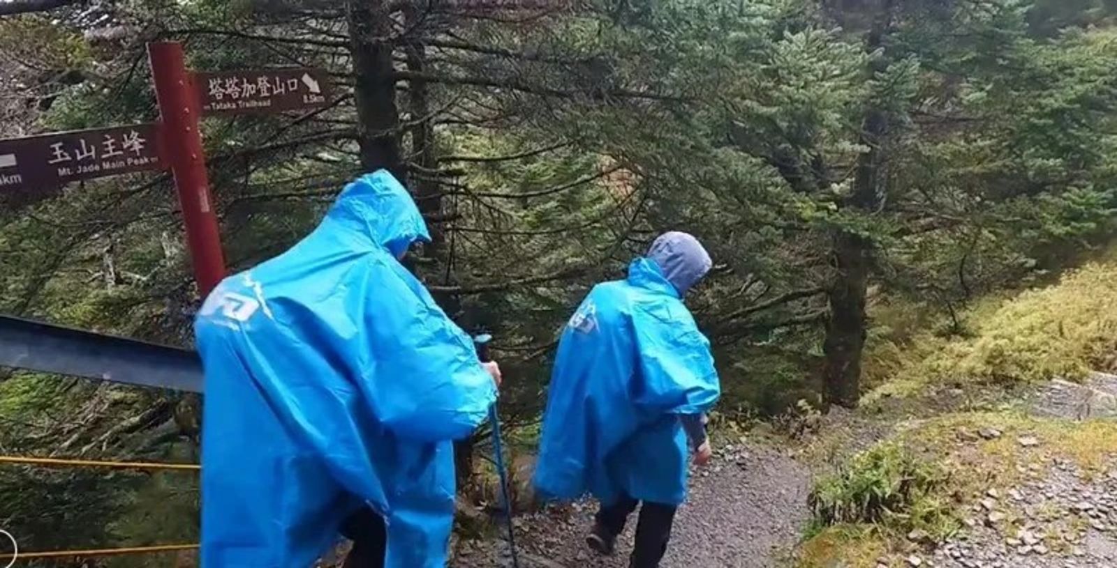 鳳凰颱風逼近　玉山國家公園預警封園　81隊、286登山客平安下山