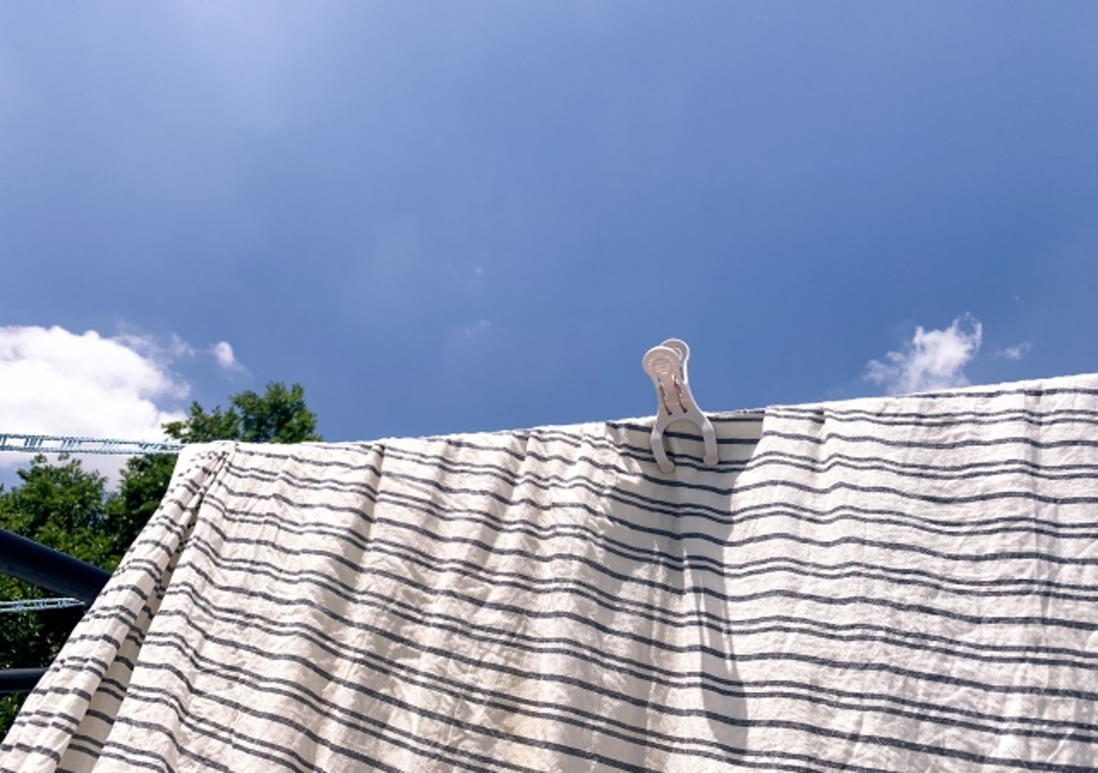 太陽下曬棉被竟是「塵蟎烤焦味」?網憂吸入大量屍體 專家揭氣味真相